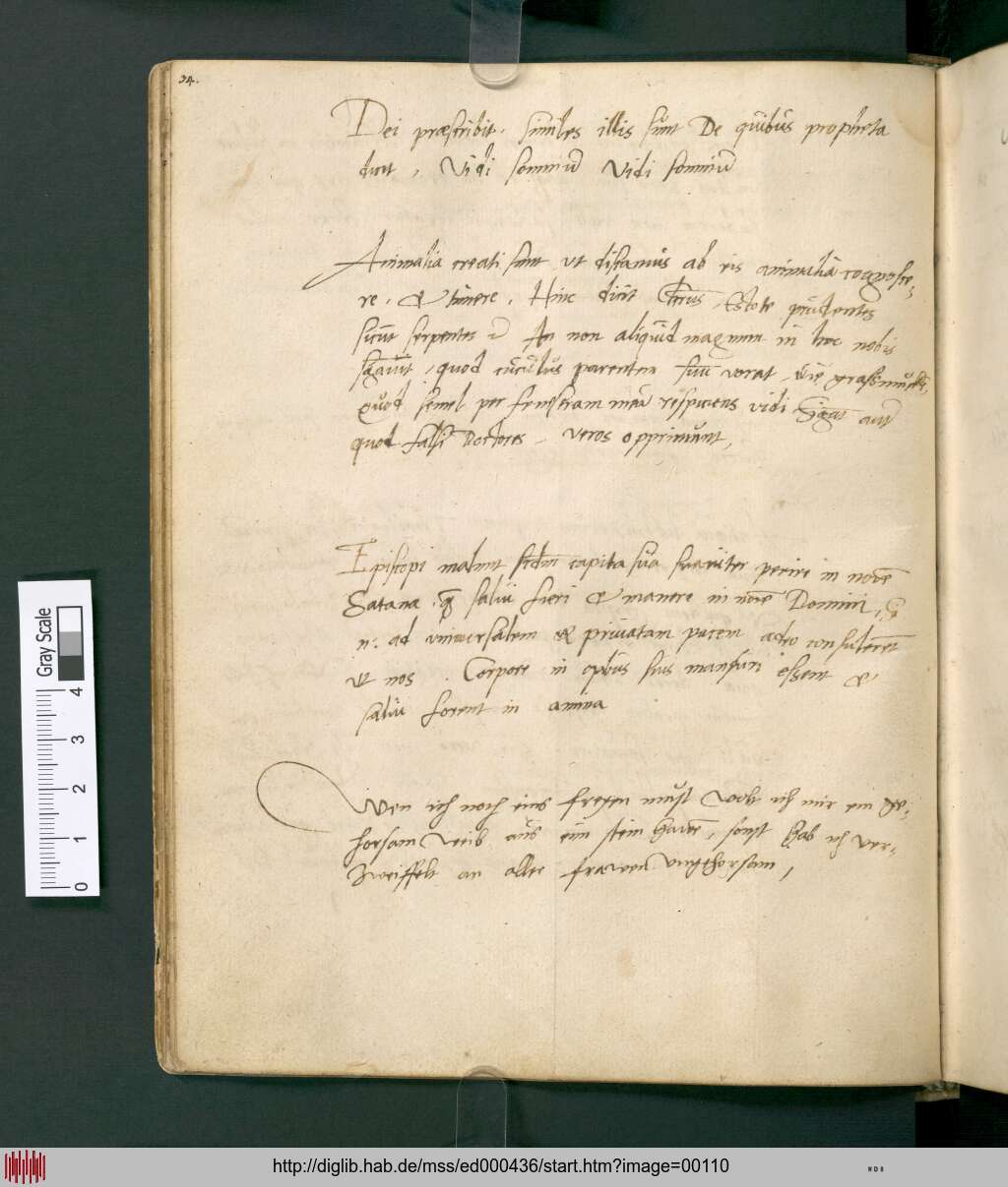 http://diglib.hab.de/mss/ed000436/00110.jpg