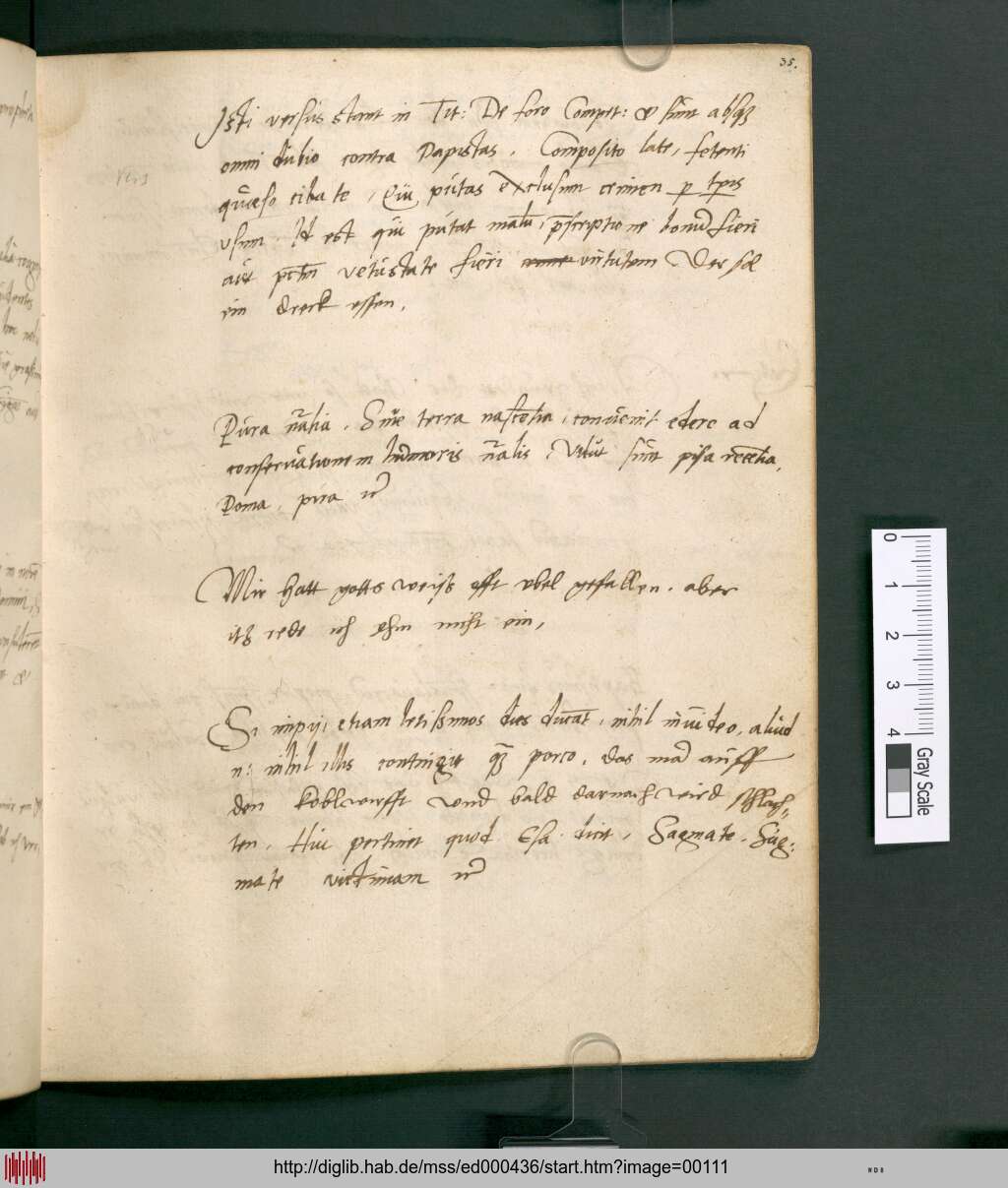 http://diglib.hab.de/mss/ed000436/00111.jpg