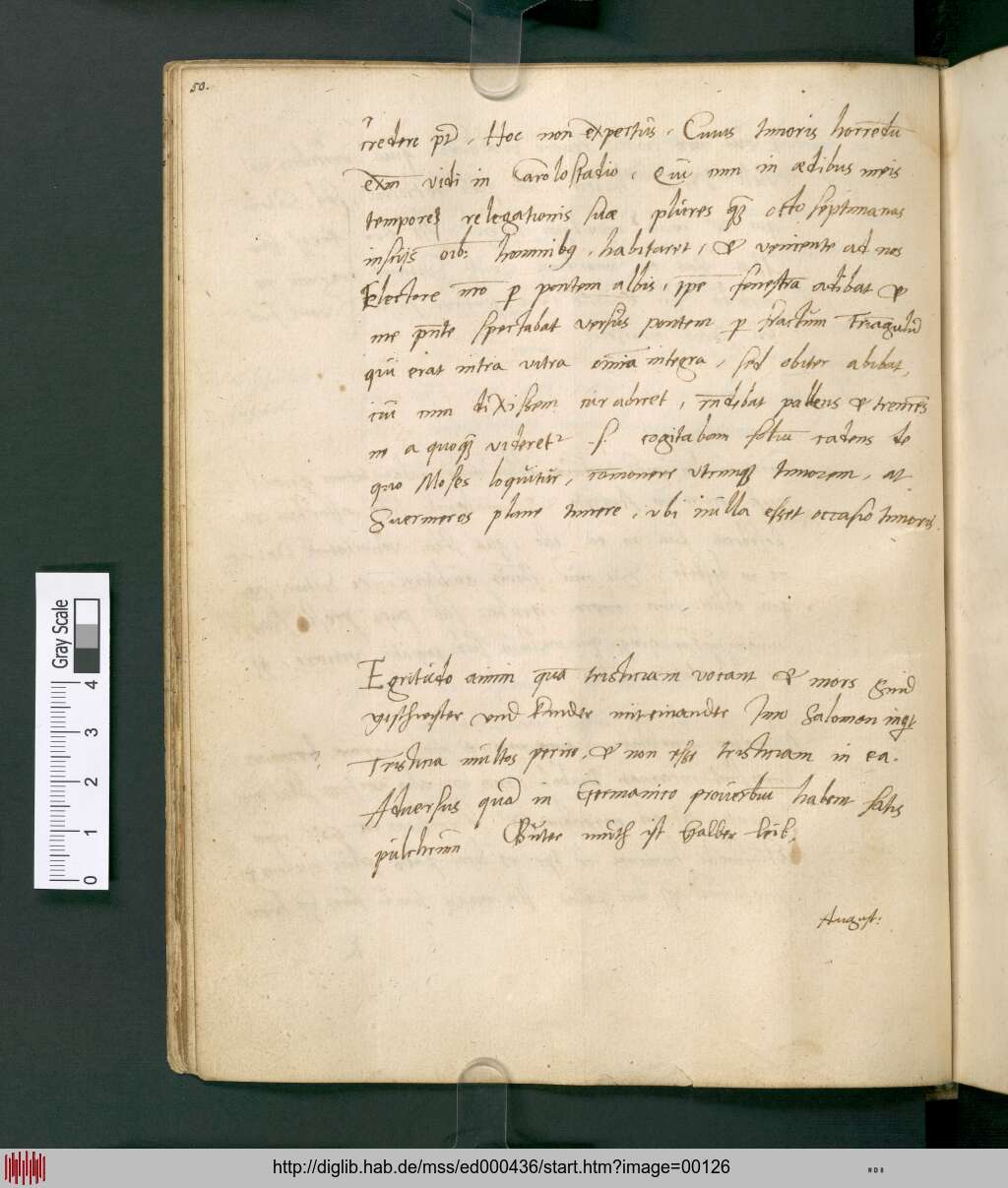 http://diglib.hab.de/mss/ed000436/00126.jpg