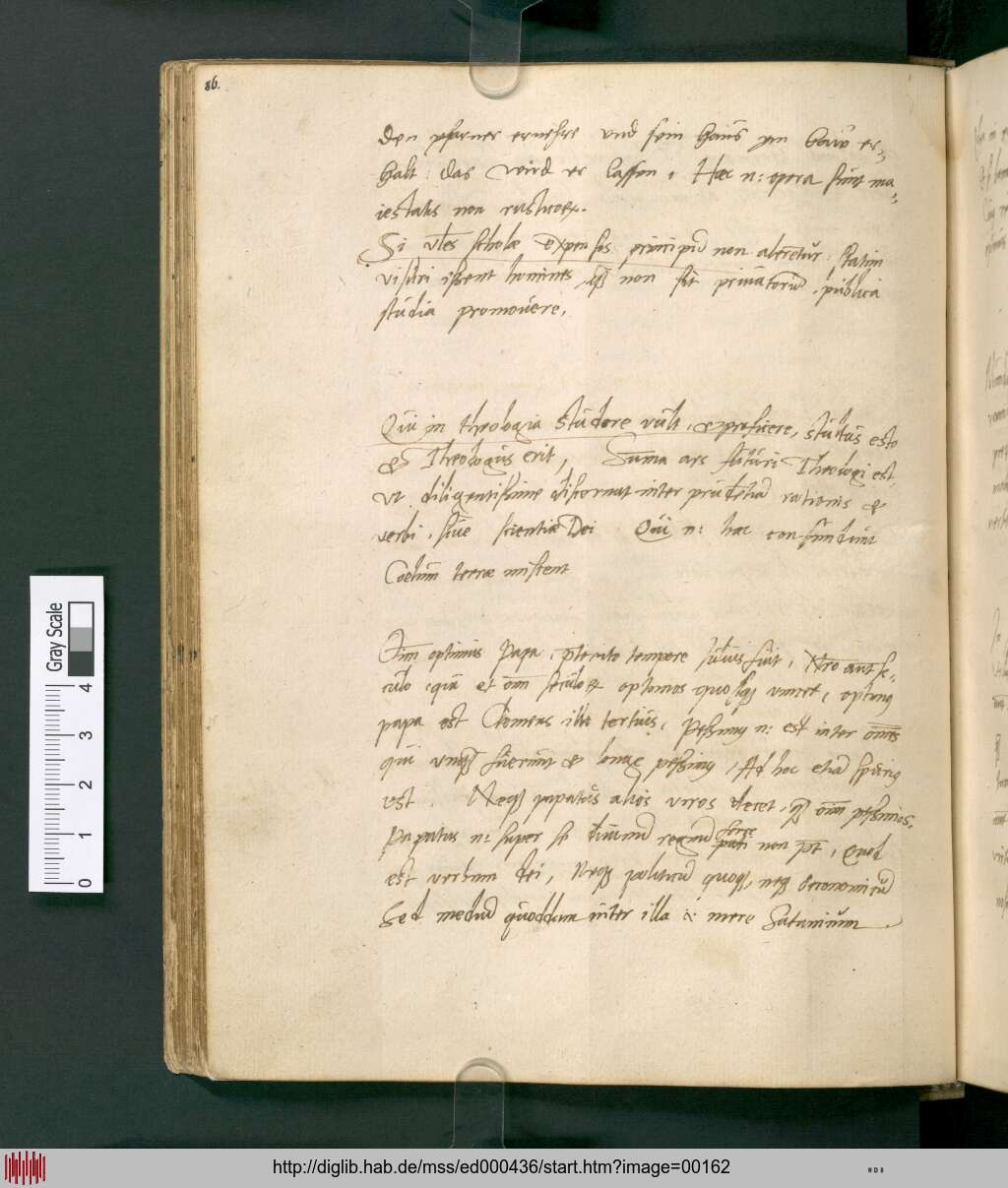 http://diglib.hab.de/mss/ed000436/00162.jpg