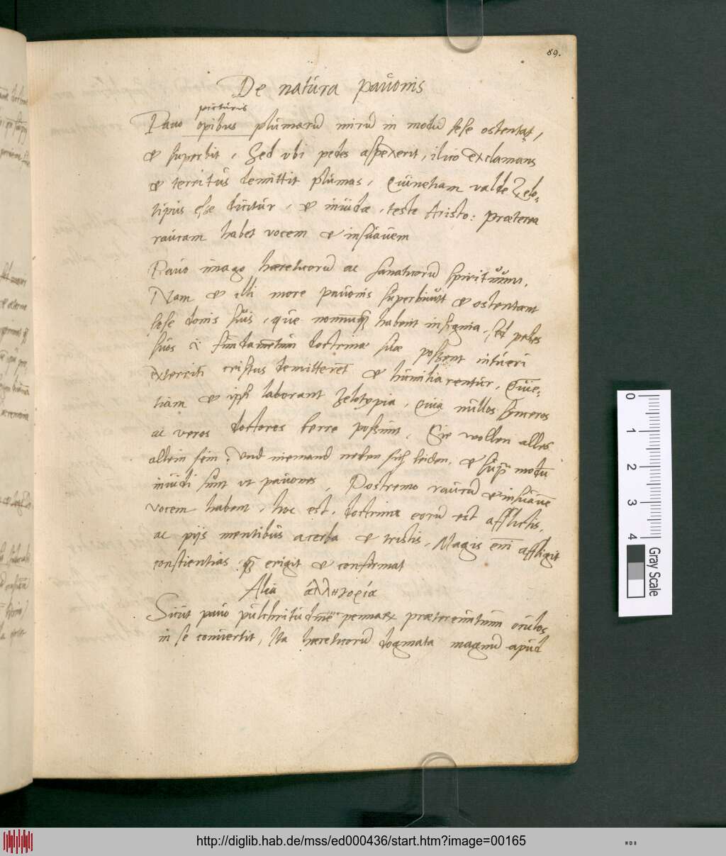 http://diglib.hab.de/mss/ed000436/00165.jpg
