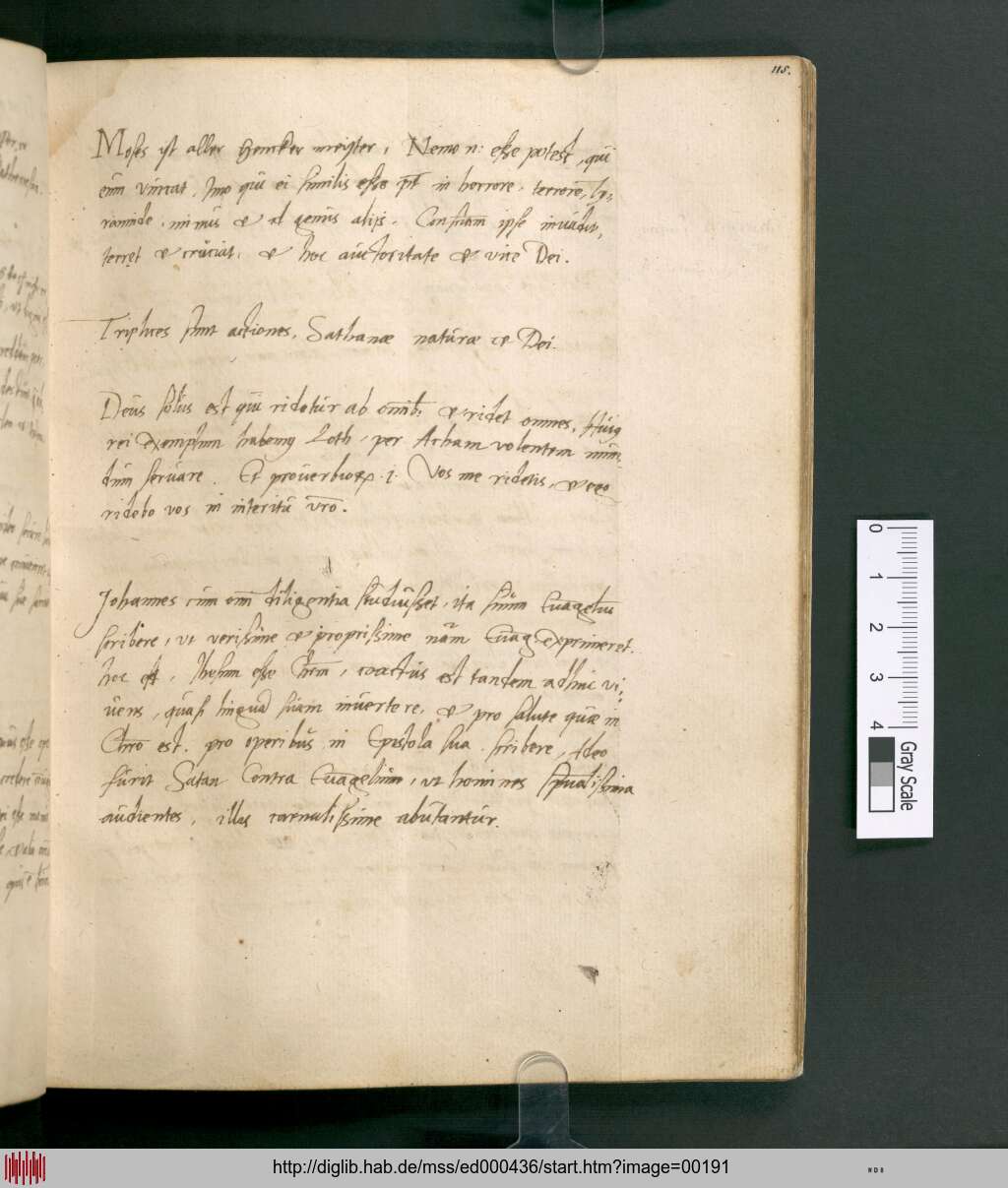 http://diglib.hab.de/mss/ed000436/00191.jpg