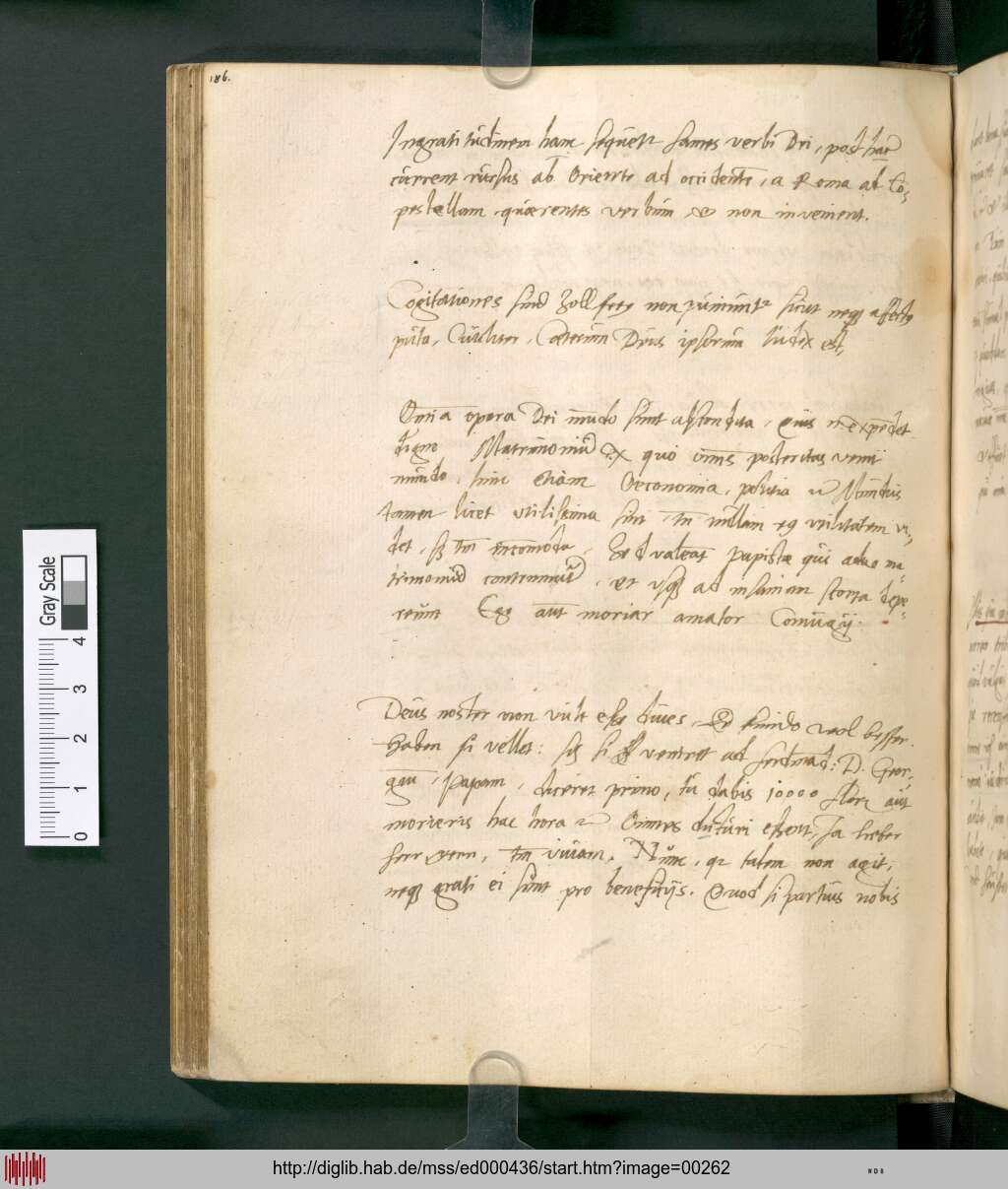 http://diglib.hab.de/mss/ed000436/00262.jpg