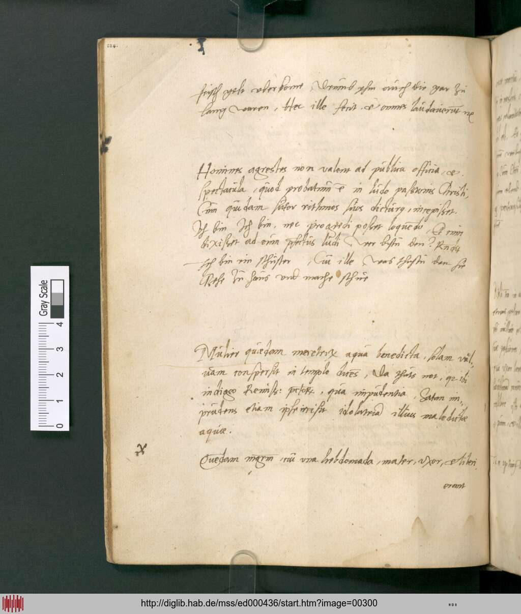 http://diglib.hab.de/mss/ed000436/00300.jpg