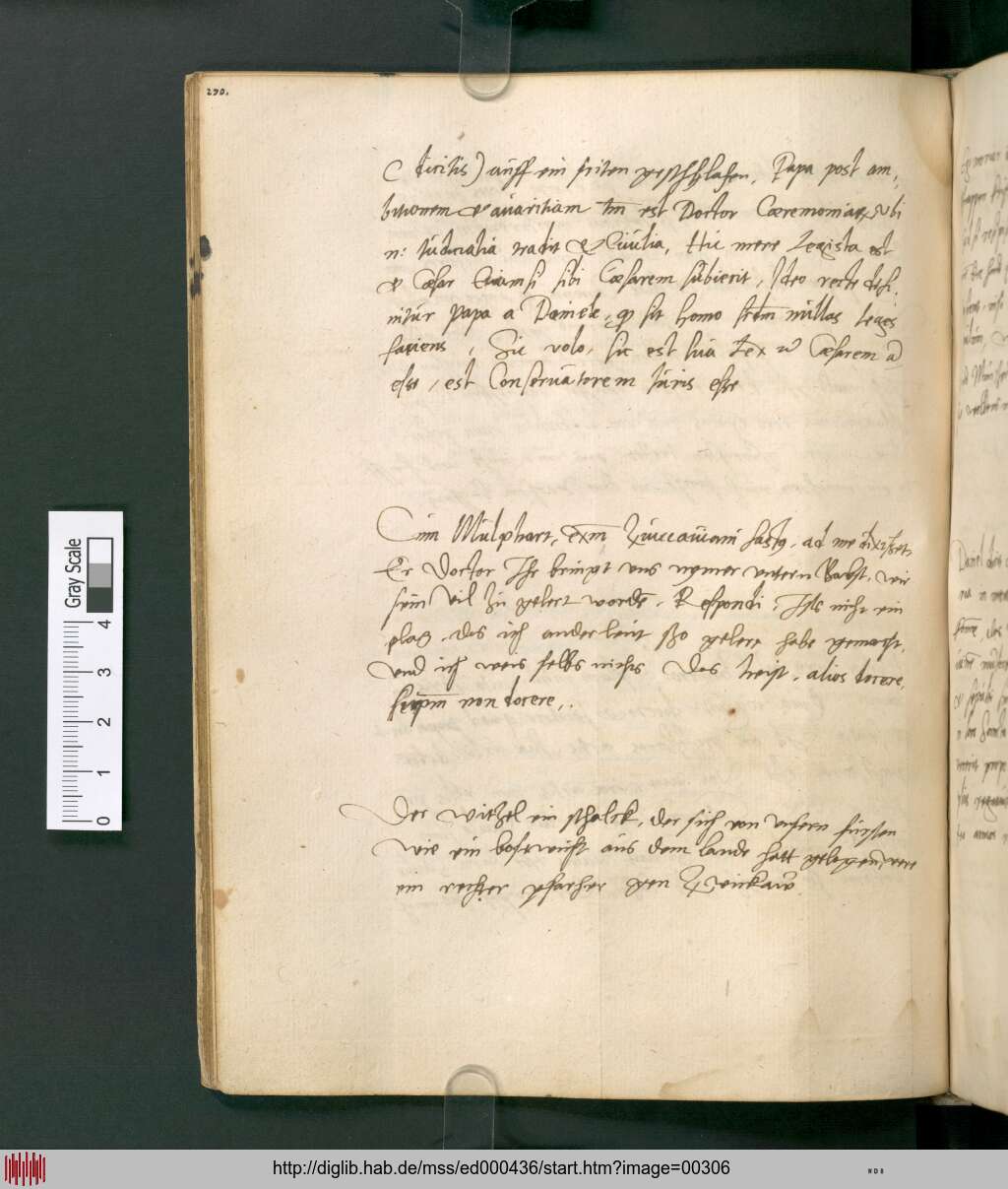 http://diglib.hab.de/mss/ed000436/00306.jpg