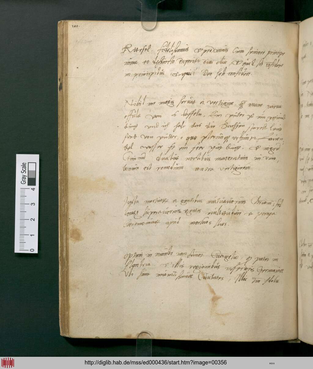 http://diglib.hab.de/mss/ed000436/00356.jpg