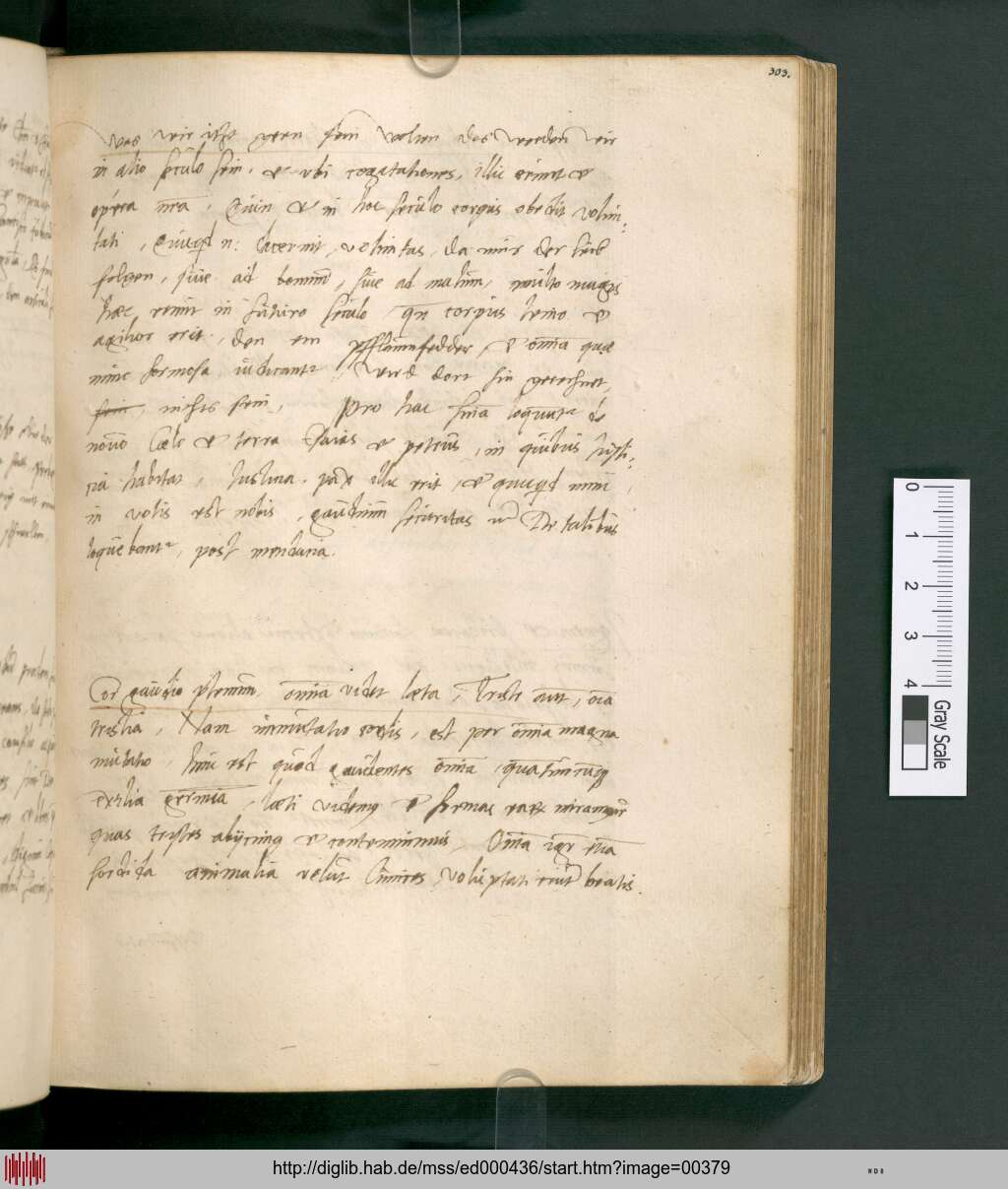 http://diglib.hab.de/mss/ed000436/00379.jpg