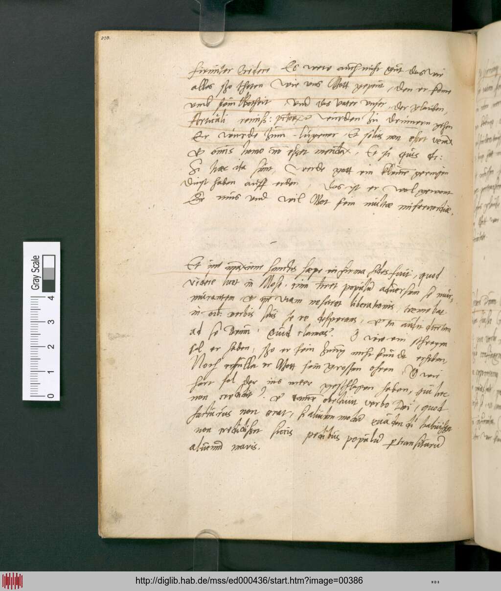 http://diglib.hab.de/mss/ed000436/00386.jpg