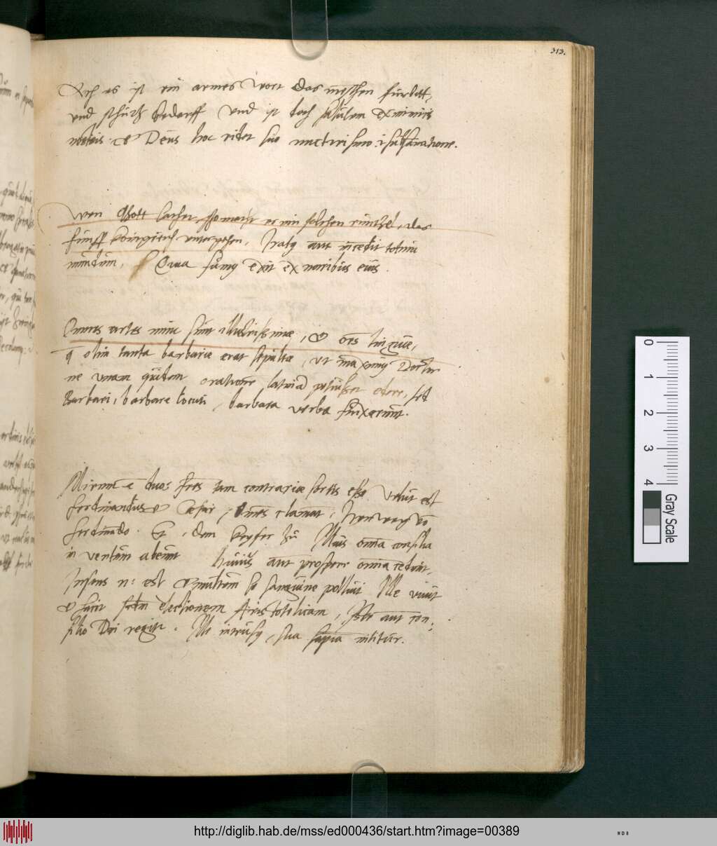http://diglib.hab.de/mss/ed000436/00389.jpg