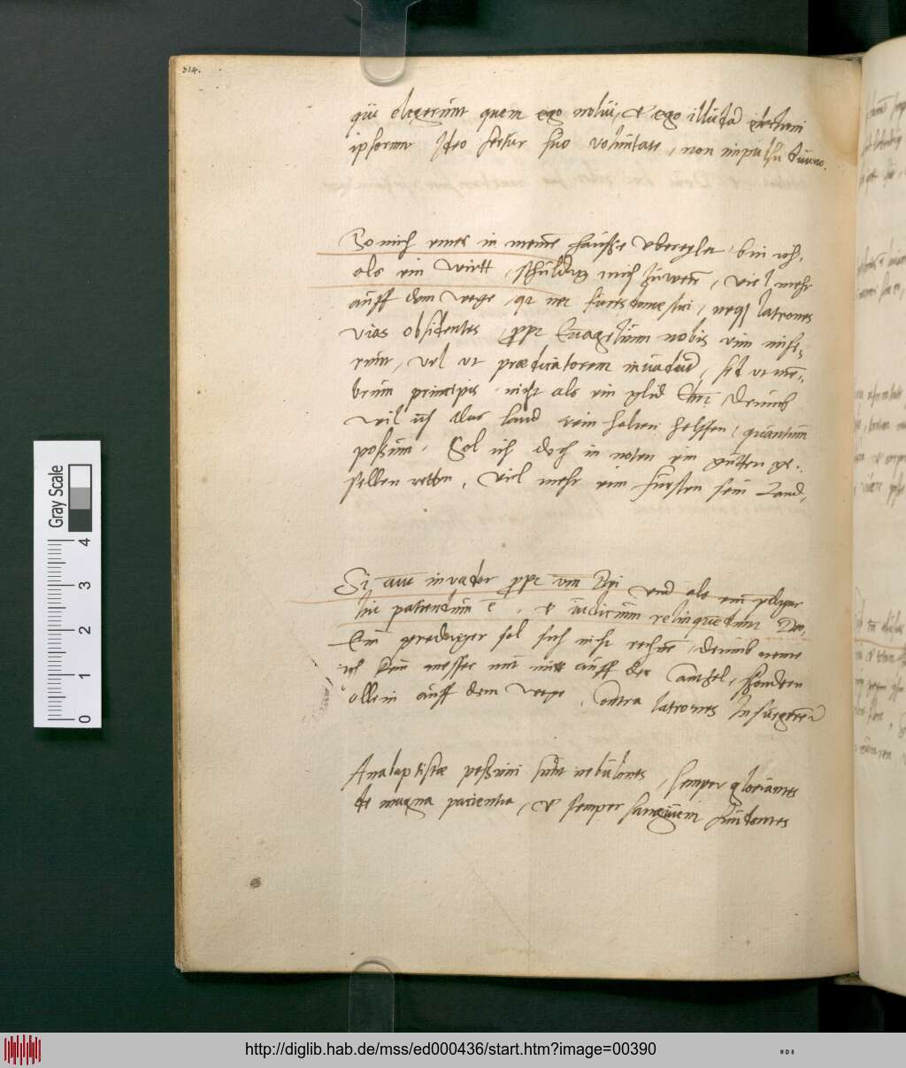 http://diglib.hab.de/mss/ed000436/00390.jpg