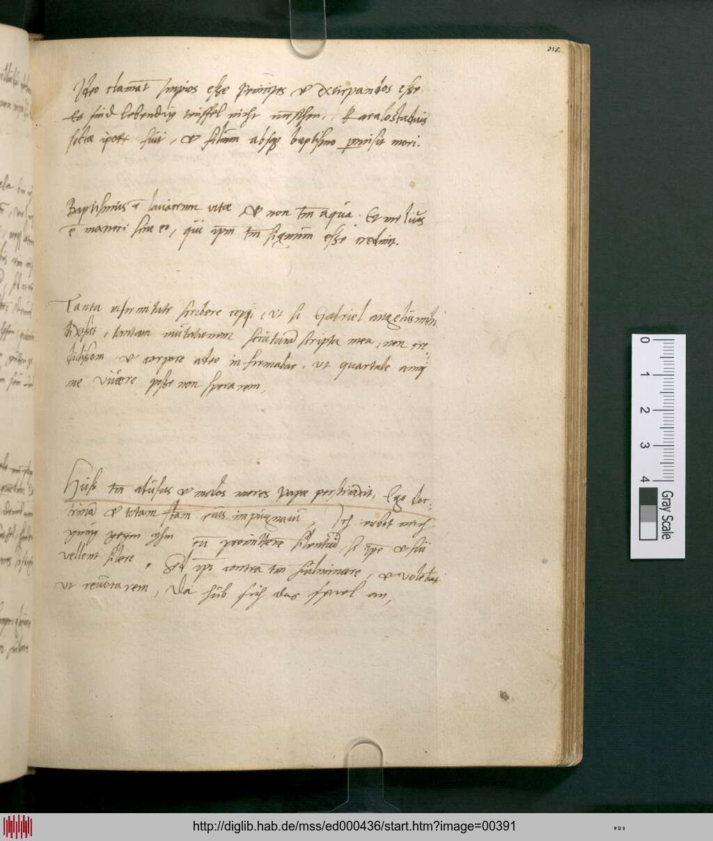 http://diglib.hab.de/mss/ed000436/00391.jpg