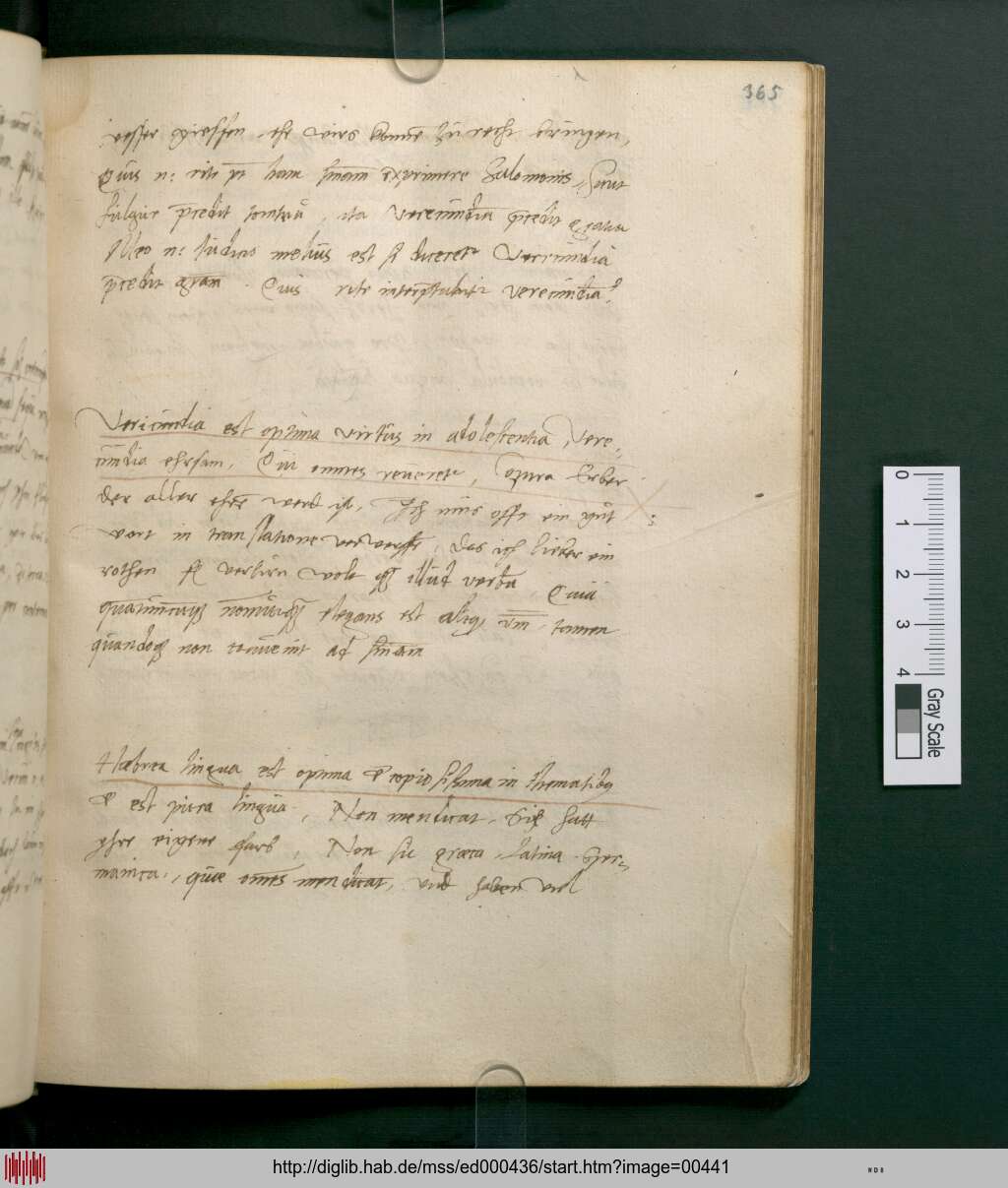 http://diglib.hab.de/mss/ed000436/00441.jpg