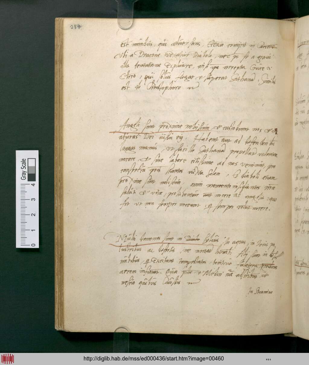 http://diglib.hab.de/mss/ed000436/00460.jpg