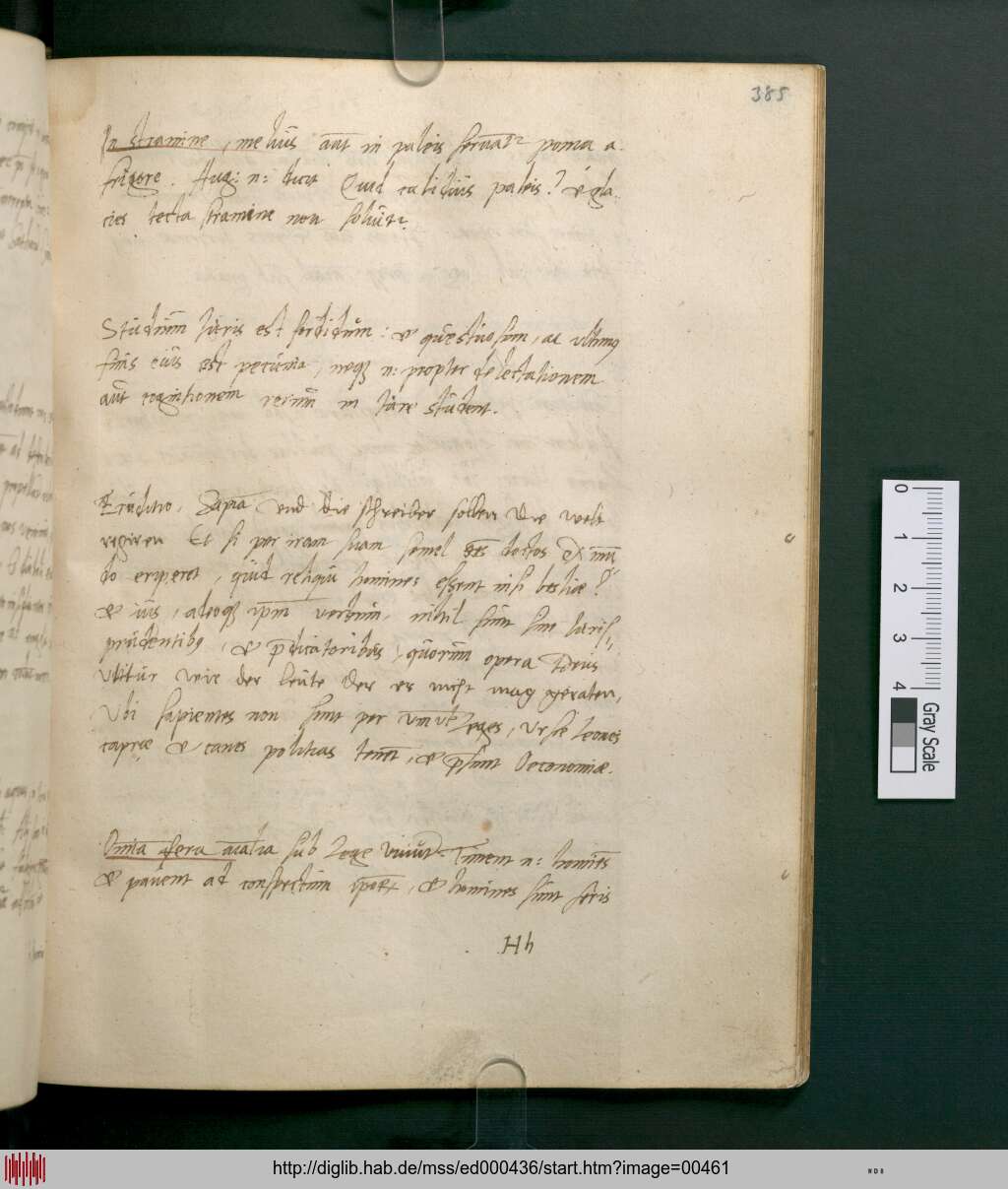http://diglib.hab.de/mss/ed000436/00461.jpg