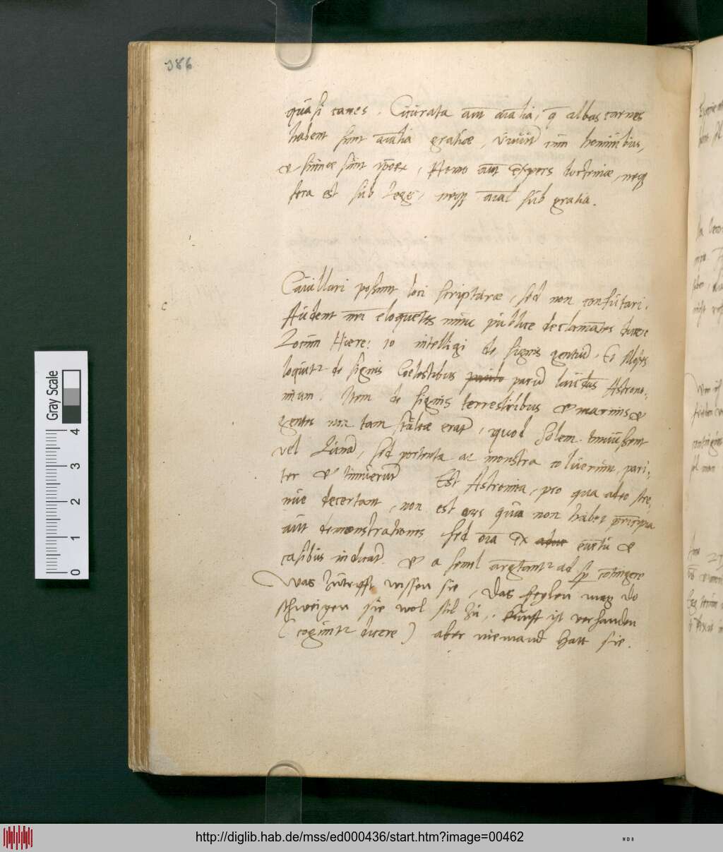 http://diglib.hab.de/mss/ed000436/00462.jpg