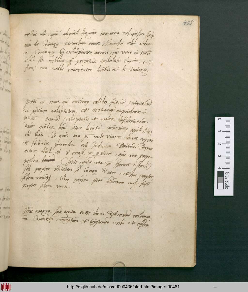 http://diglib.hab.de/mss/ed000436/00481.jpg