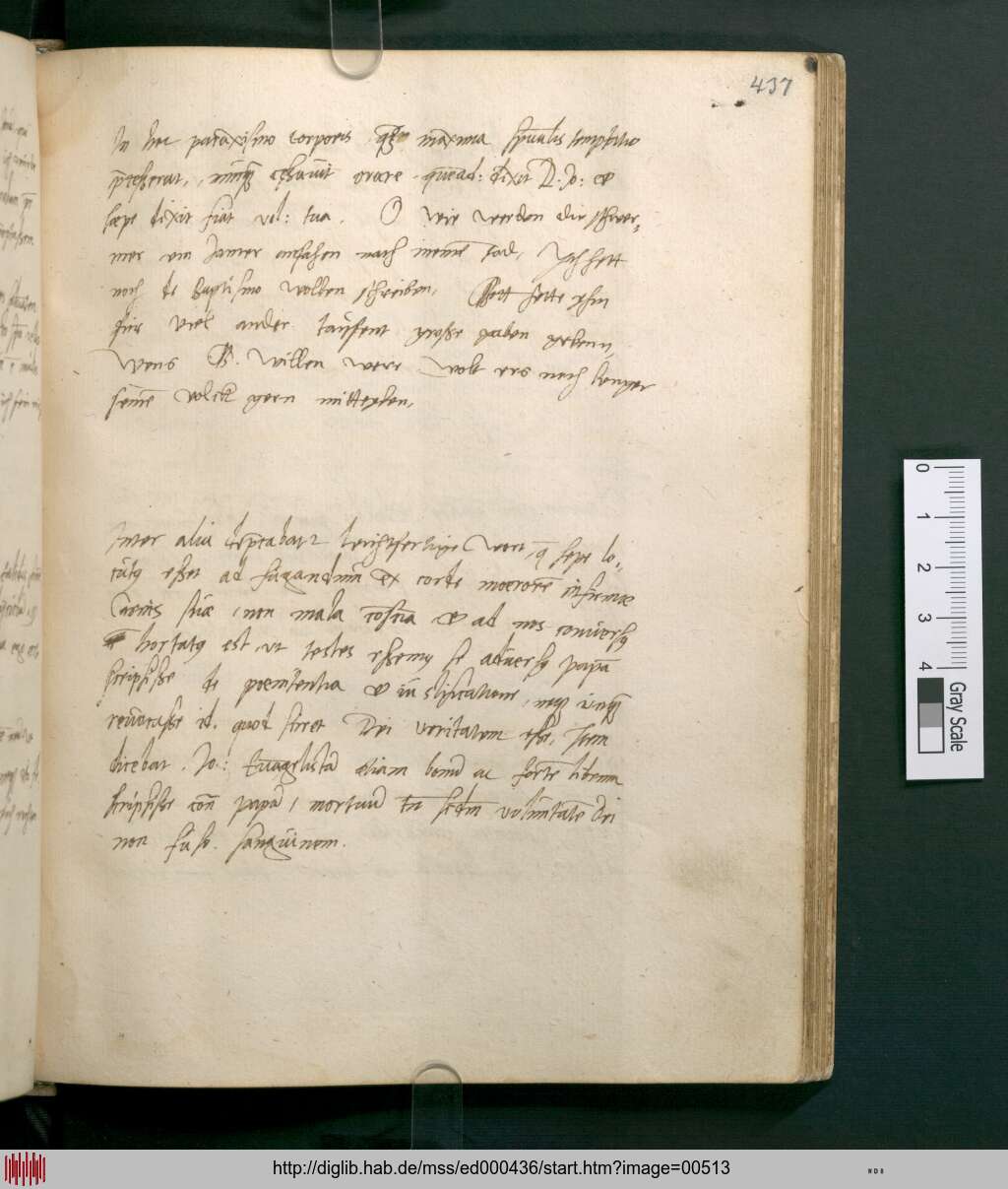 http://diglib.hab.de/mss/ed000436/00513.jpg