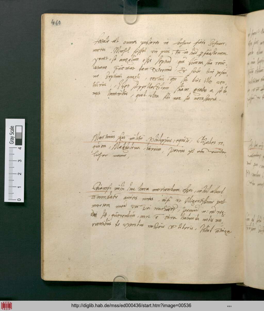 http://diglib.hab.de/mss/ed000436/00536.jpg