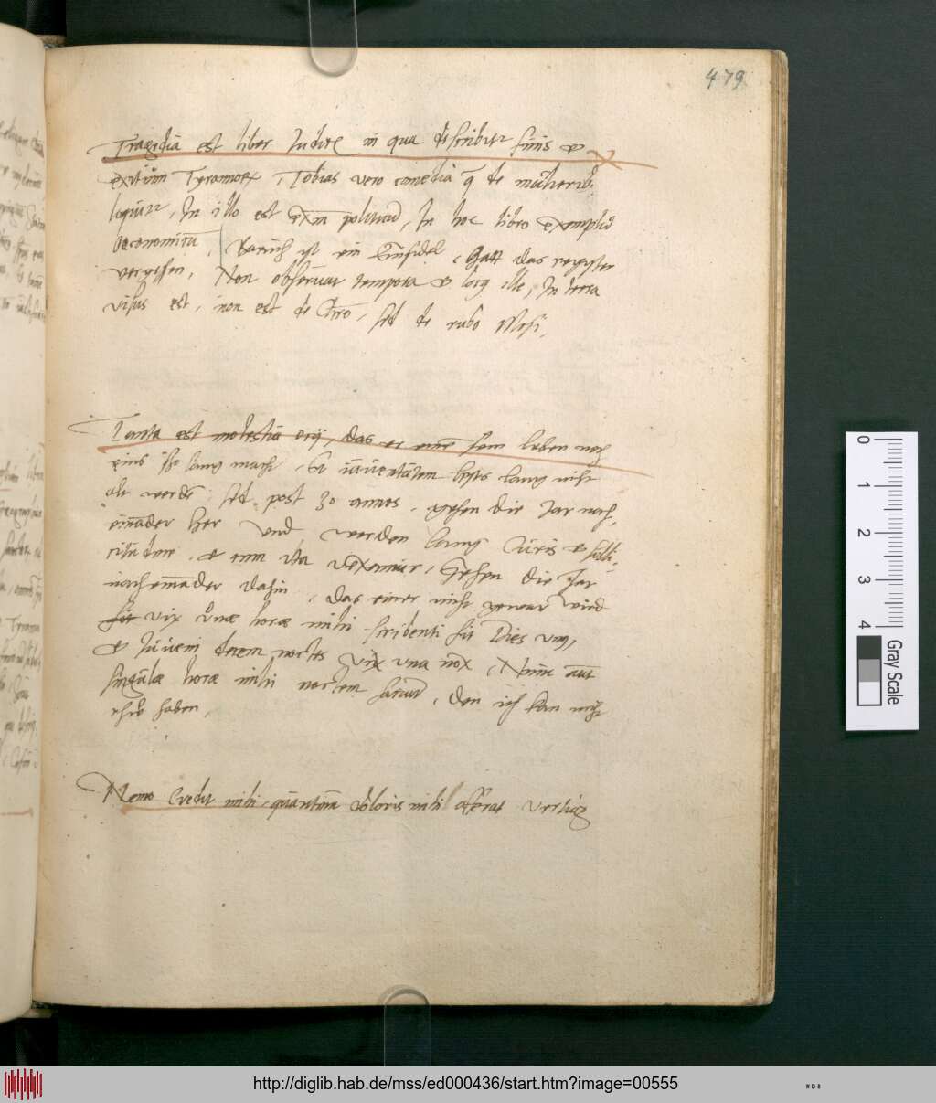 http://diglib.hab.de/mss/ed000436/00555.jpg