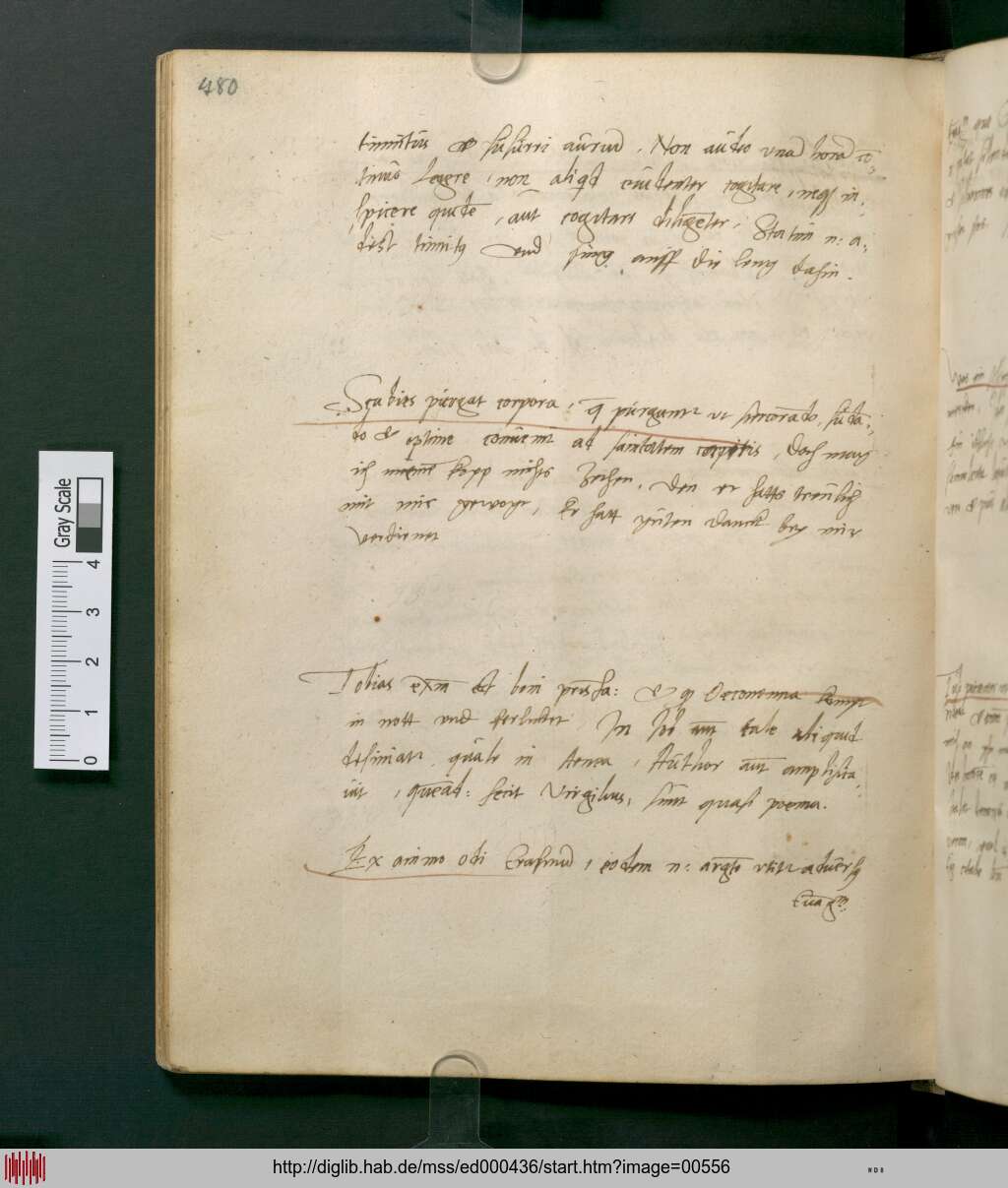 http://diglib.hab.de/mss/ed000436/00556.jpg