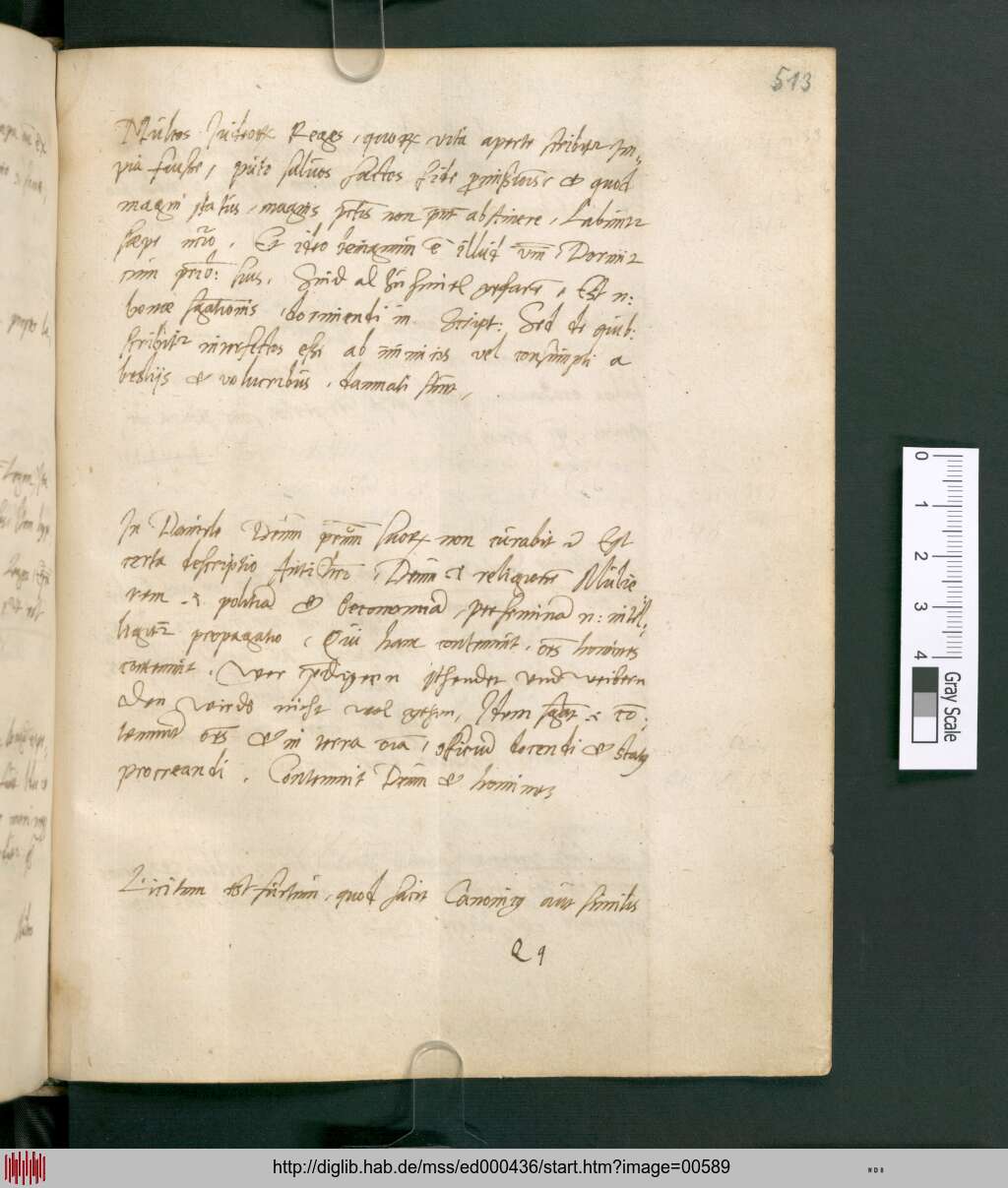 http://diglib.hab.de/mss/ed000436/00589.jpg