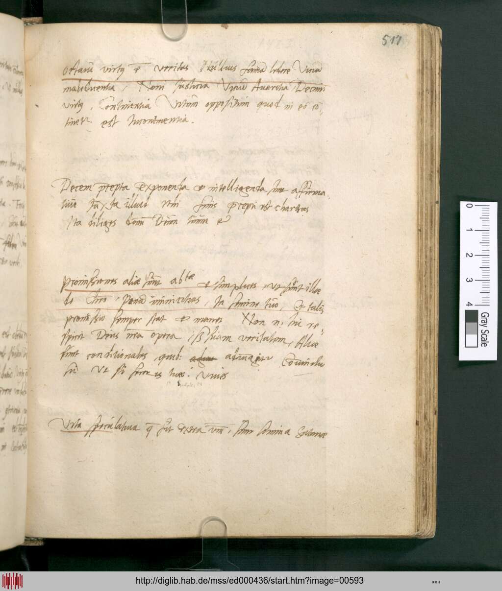 http://diglib.hab.de/mss/ed000436/00593.jpg