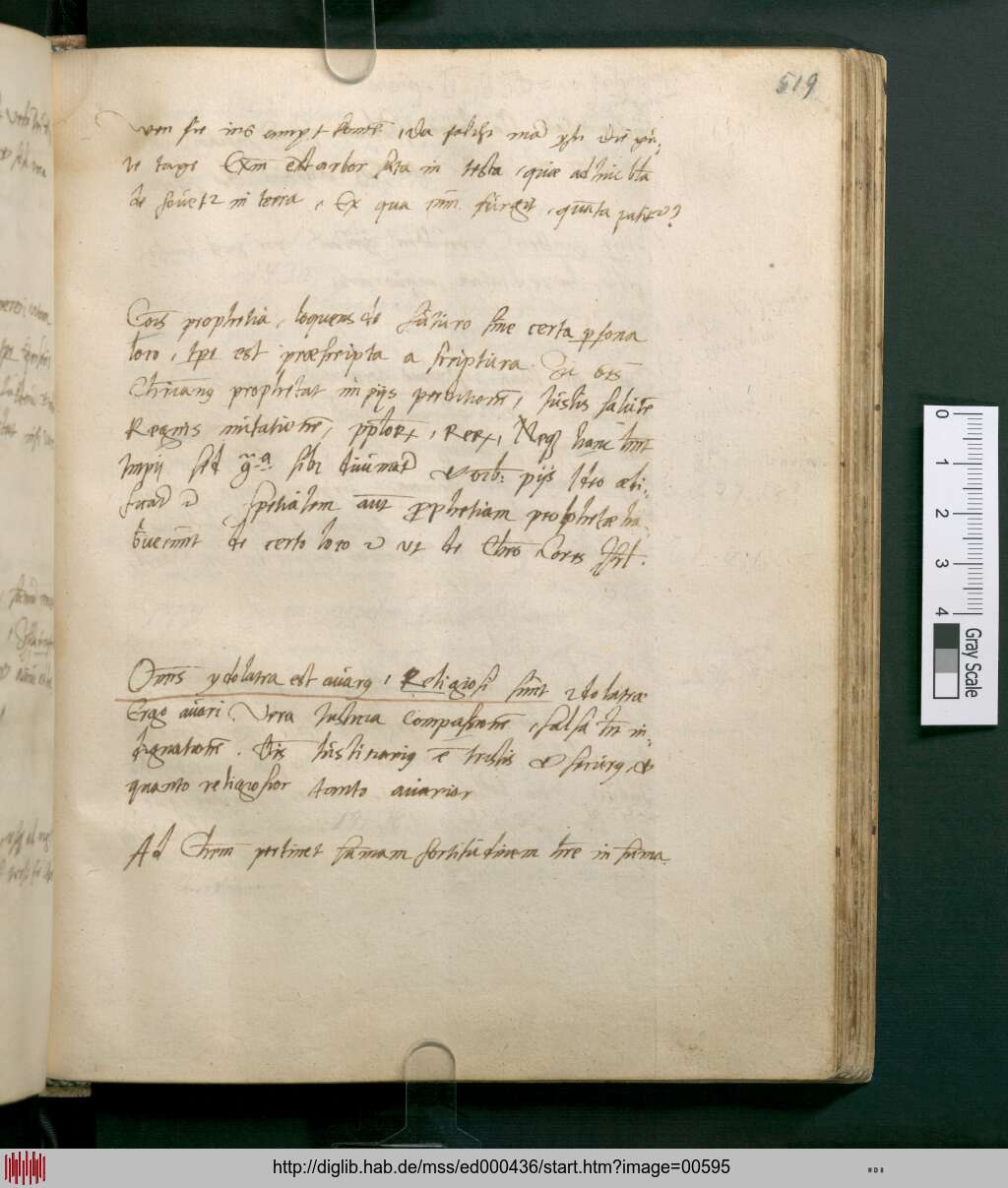 http://diglib.hab.de/mss/ed000436/00595.jpg