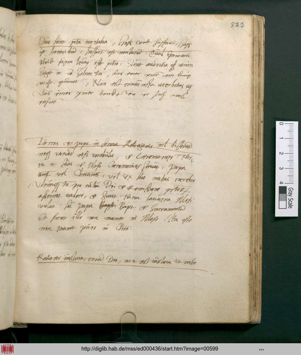 http://diglib.hab.de/mss/ed000436/00599.jpg