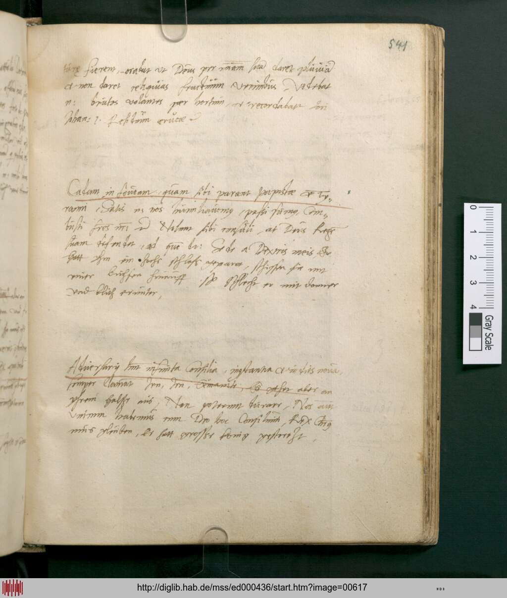 http://diglib.hab.de/mss/ed000436/00617.jpg