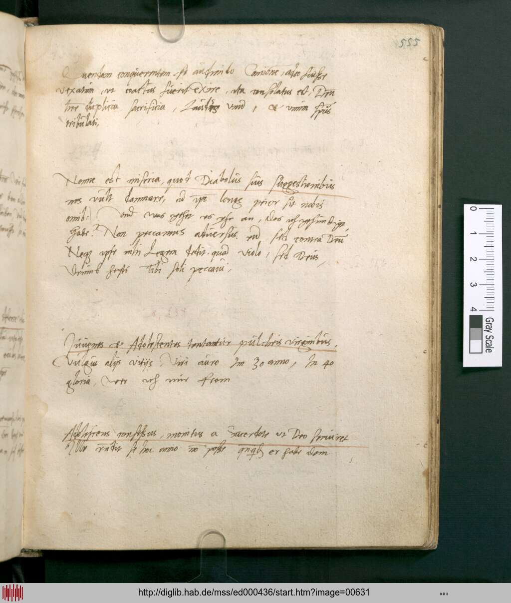 http://diglib.hab.de/mss/ed000436/00631.jpg