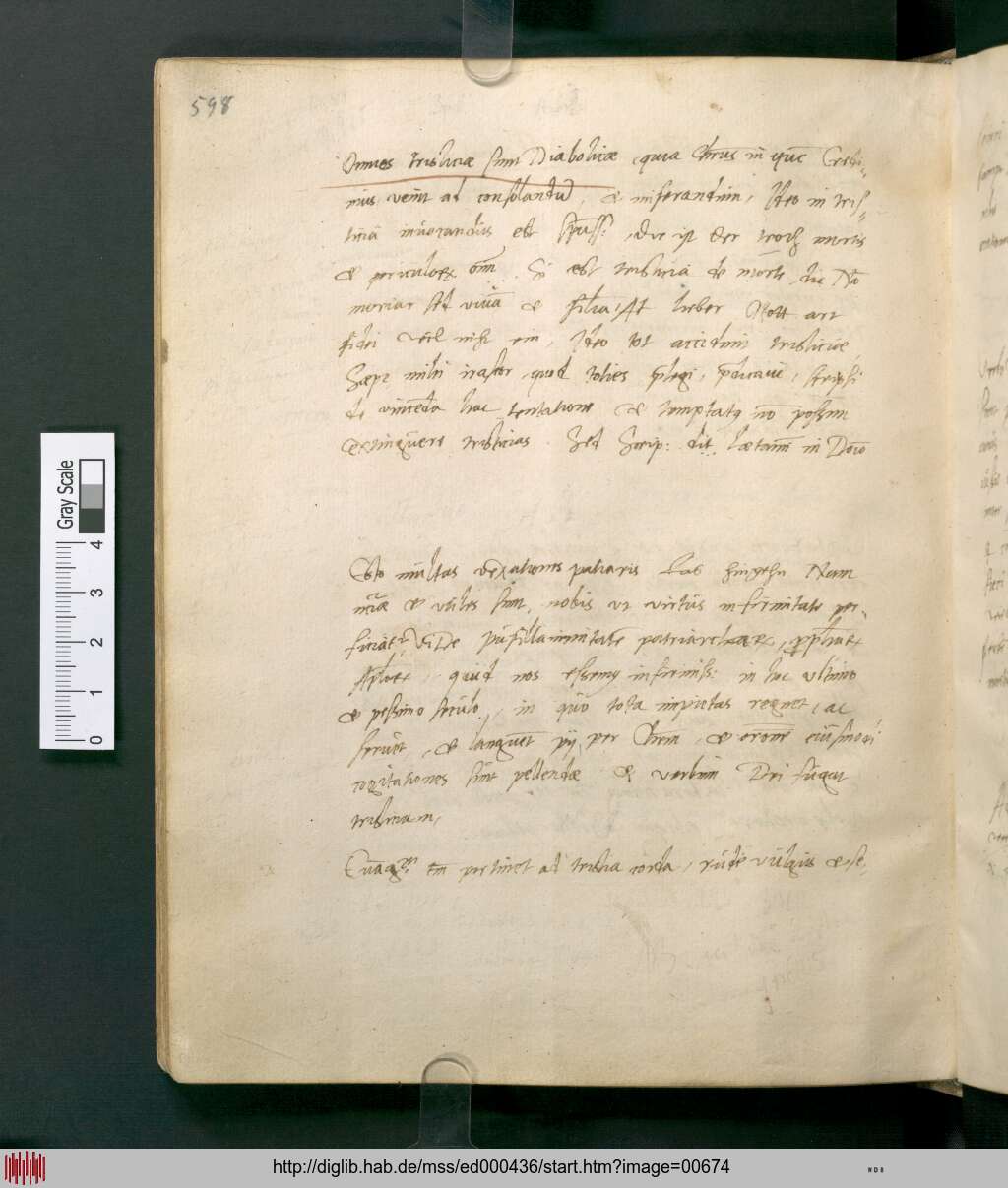 http://diglib.hab.de/mss/ed000436/00674.jpg