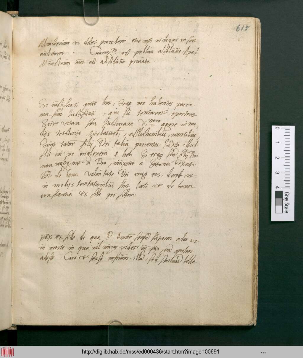 http://diglib.hab.de/mss/ed000436/00691.jpg