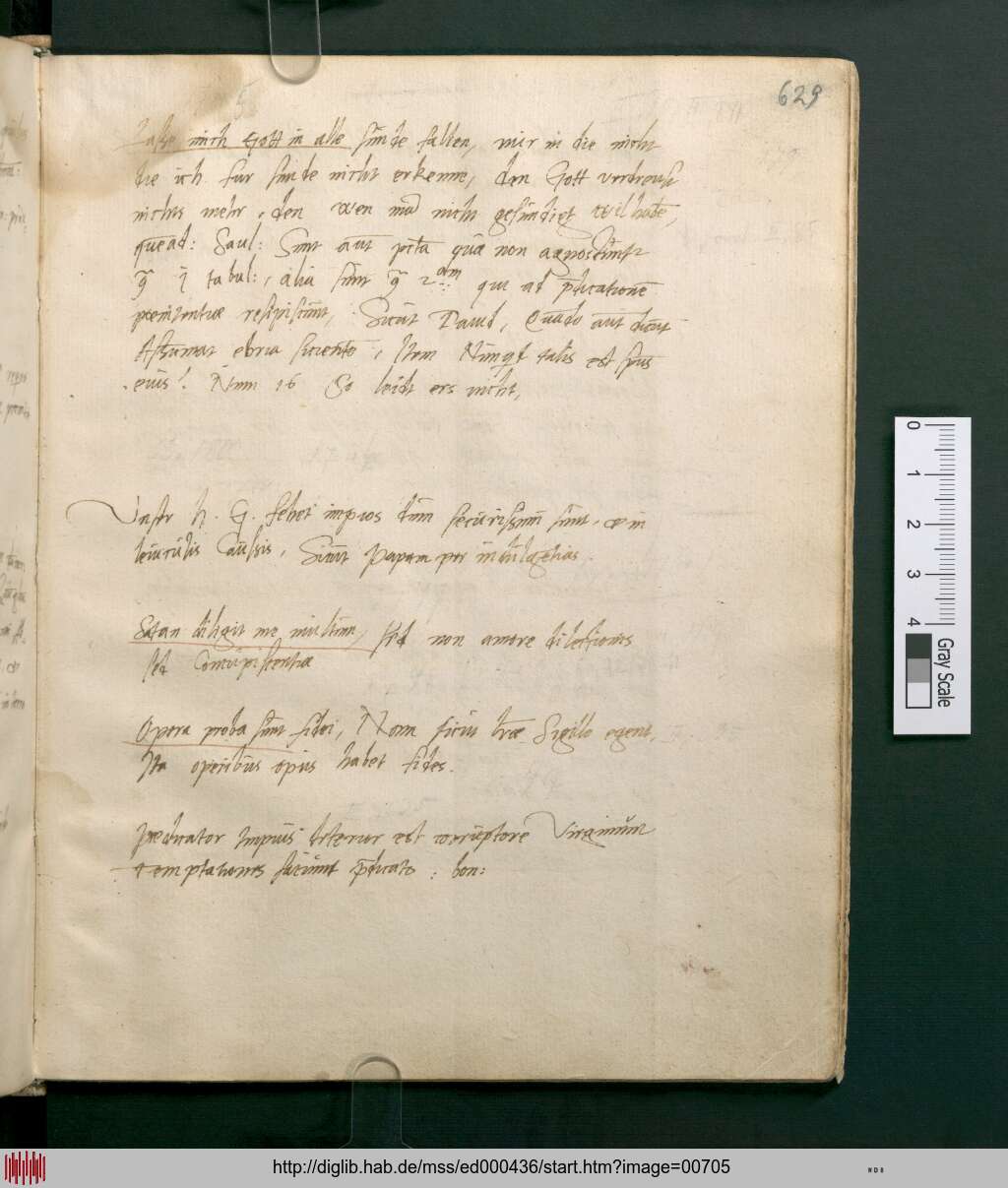 http://diglib.hab.de/mss/ed000436/00705.jpg
