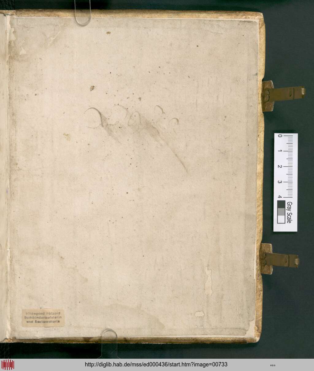 http://diglib.hab.de/mss/ed000436/00733.jpg