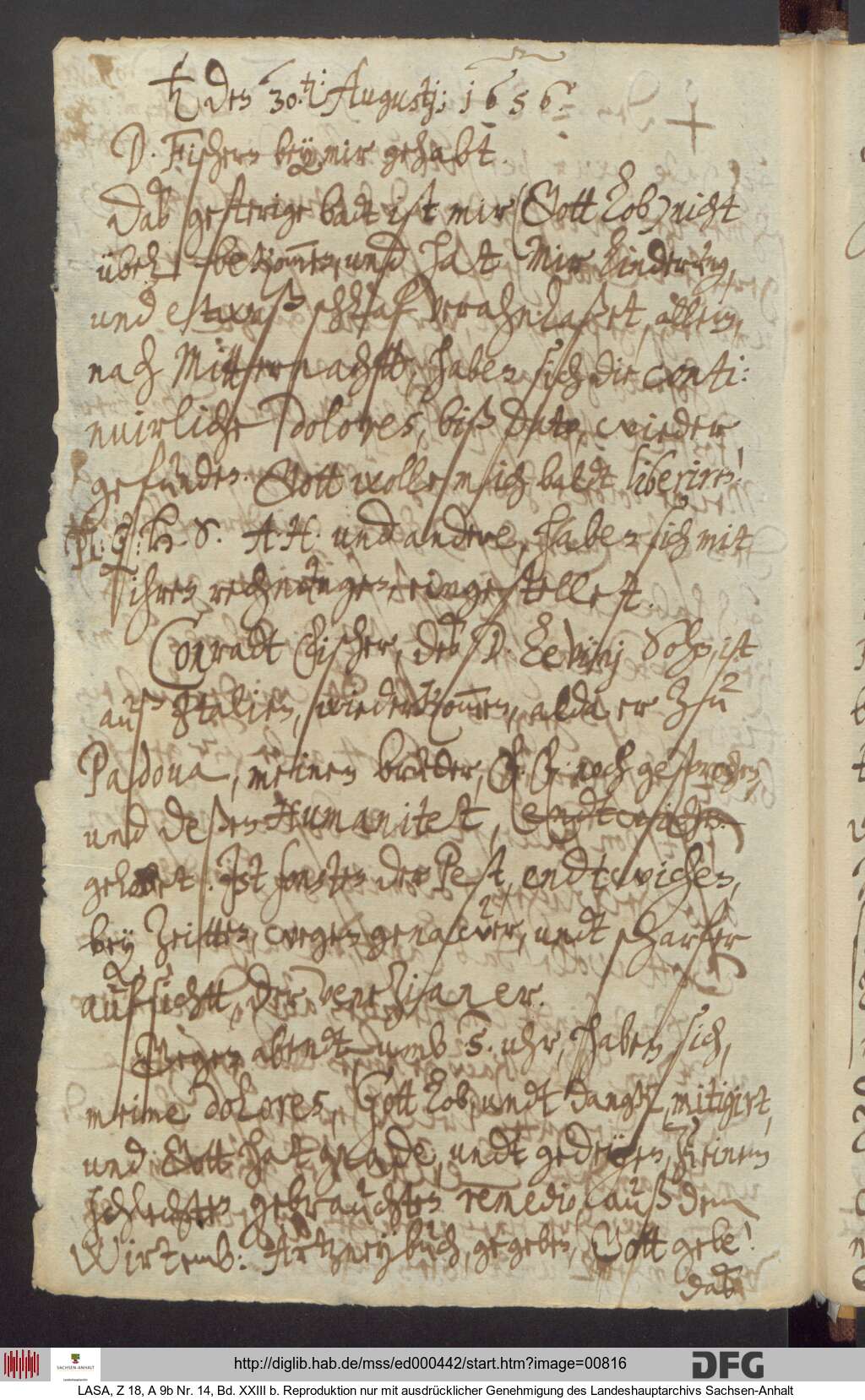 http://diglib.hab.de/mss/ed000442/00816.jpg