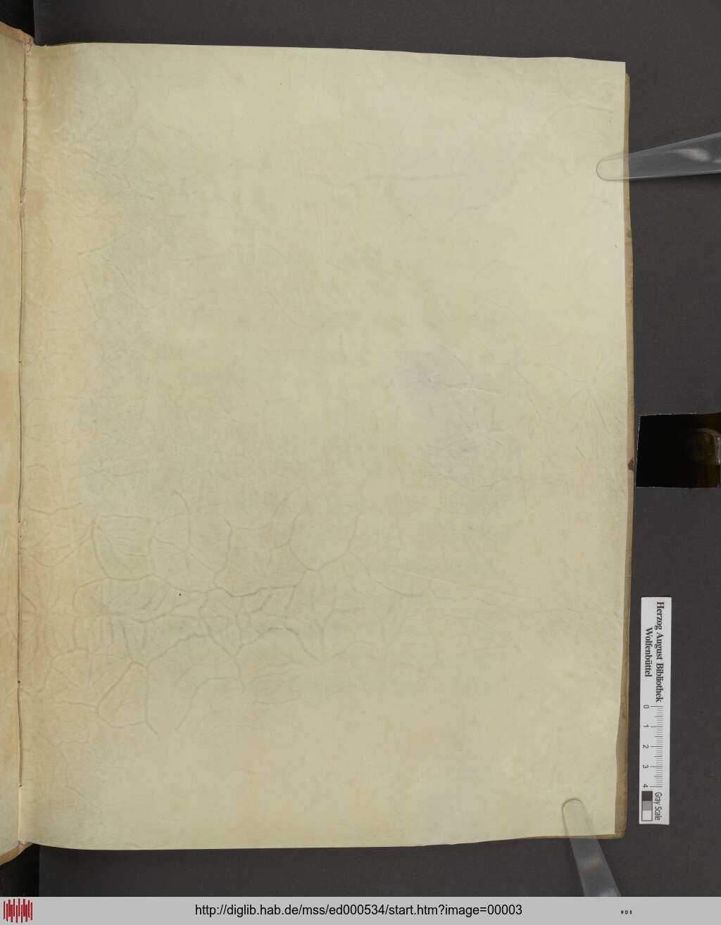 http://diglib.hab.de/mss/ed000534/00003.jpg