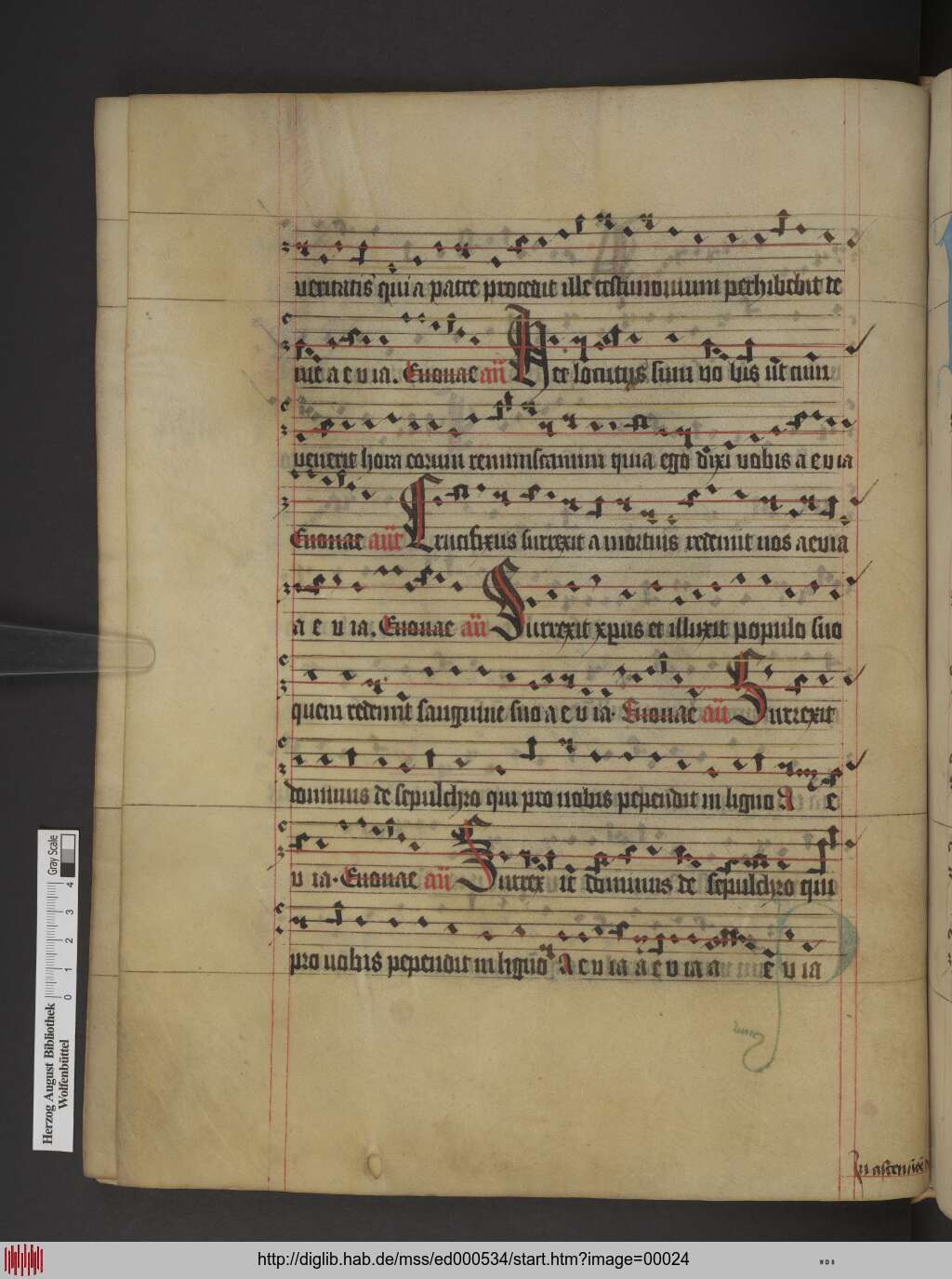 http://diglib.hab.de/mss/ed000534/00024.jpg