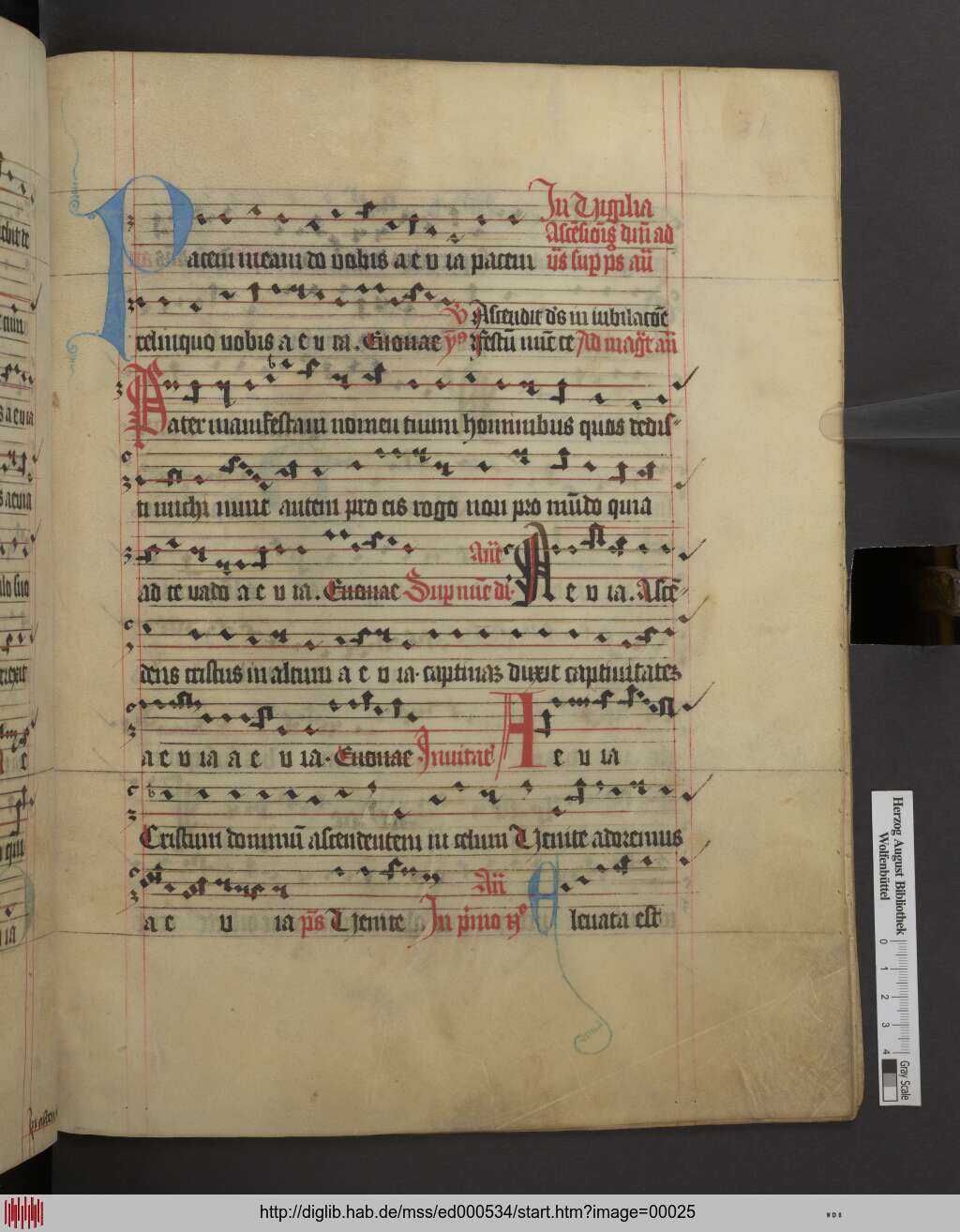 http://diglib.hab.de/mss/ed000534/00025.jpg