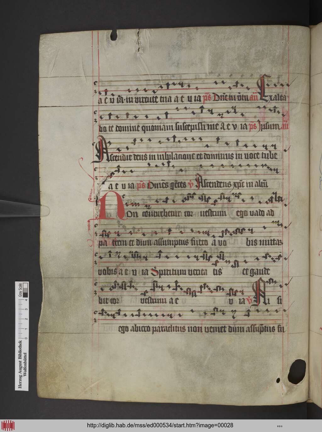 http://diglib.hab.de/mss/ed000534/00028.jpg