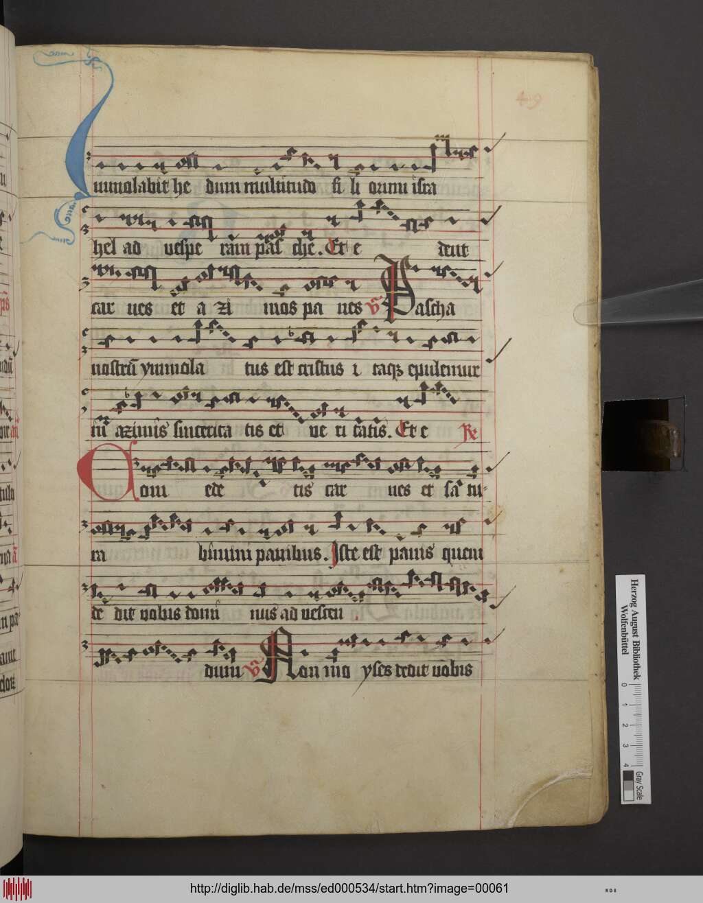 http://diglib.hab.de/mss/ed000534/00061.jpg