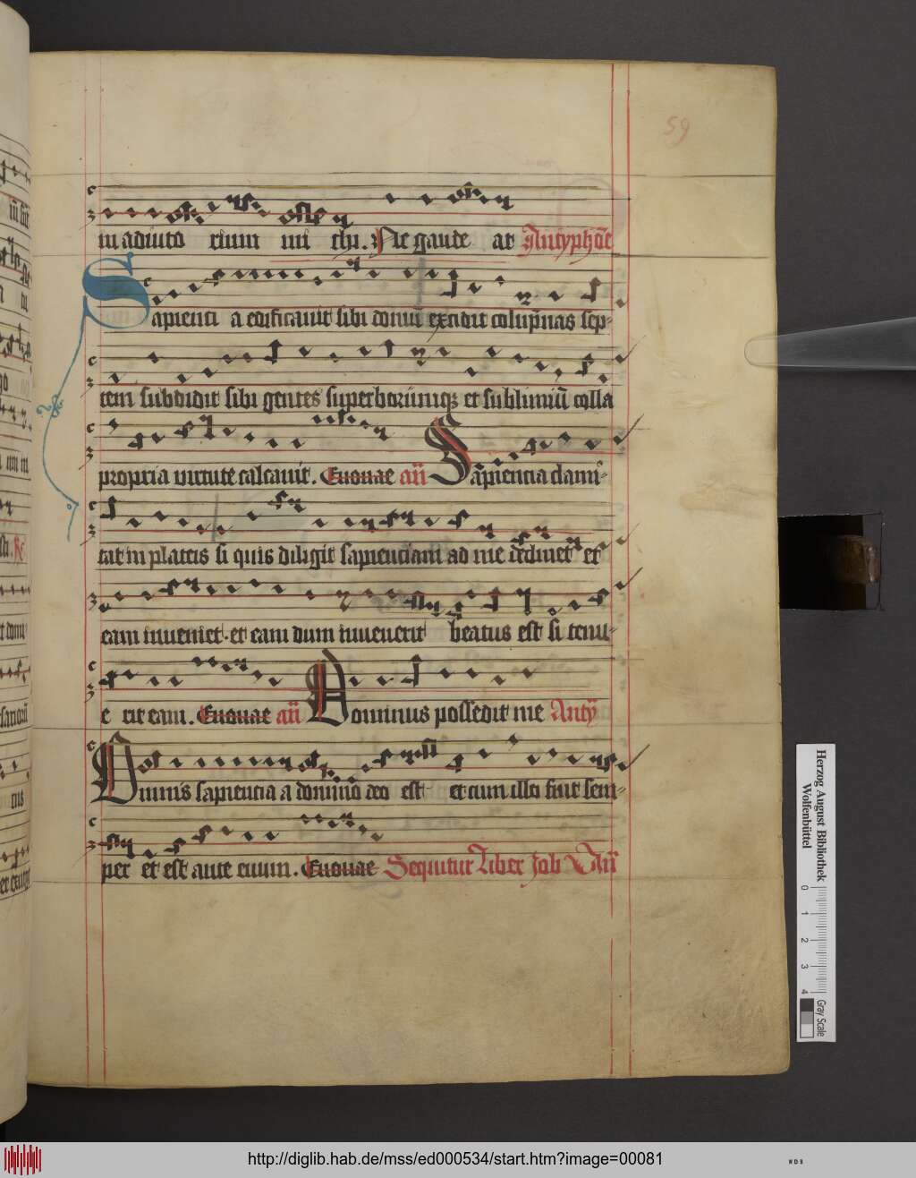 http://diglib.hab.de/mss/ed000534/00081.jpg