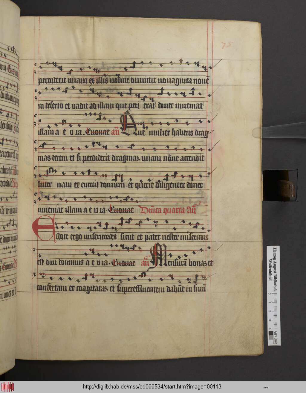 http://diglib.hab.de/mss/ed000534/00113.jpg
