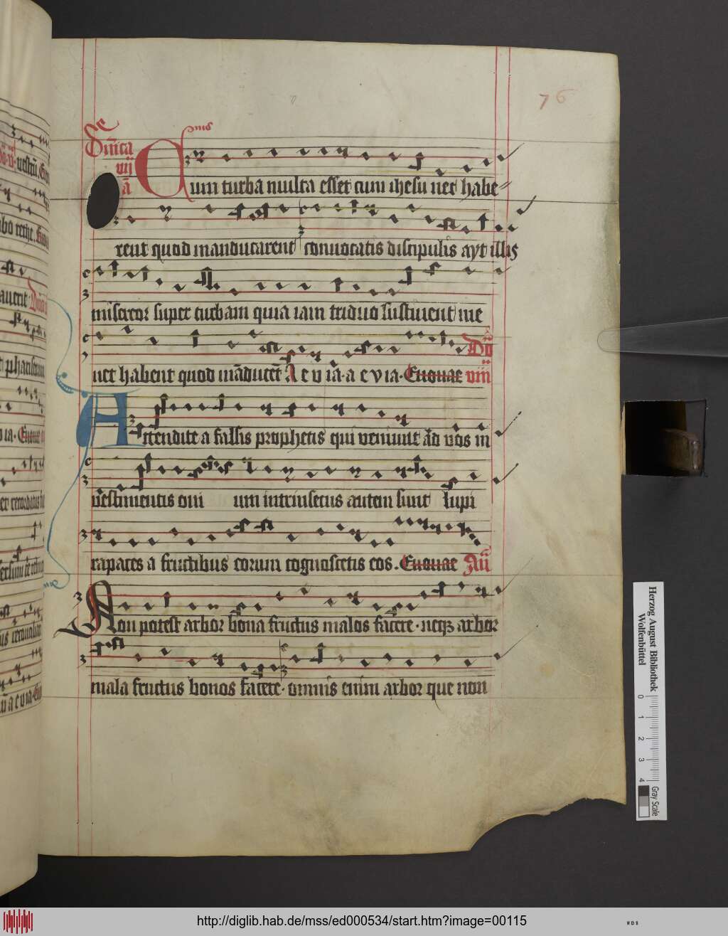http://diglib.hab.de/mss/ed000534/00115.jpg