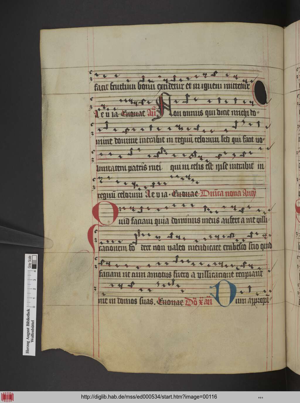 http://diglib.hab.de/mss/ed000534/00116.jpg