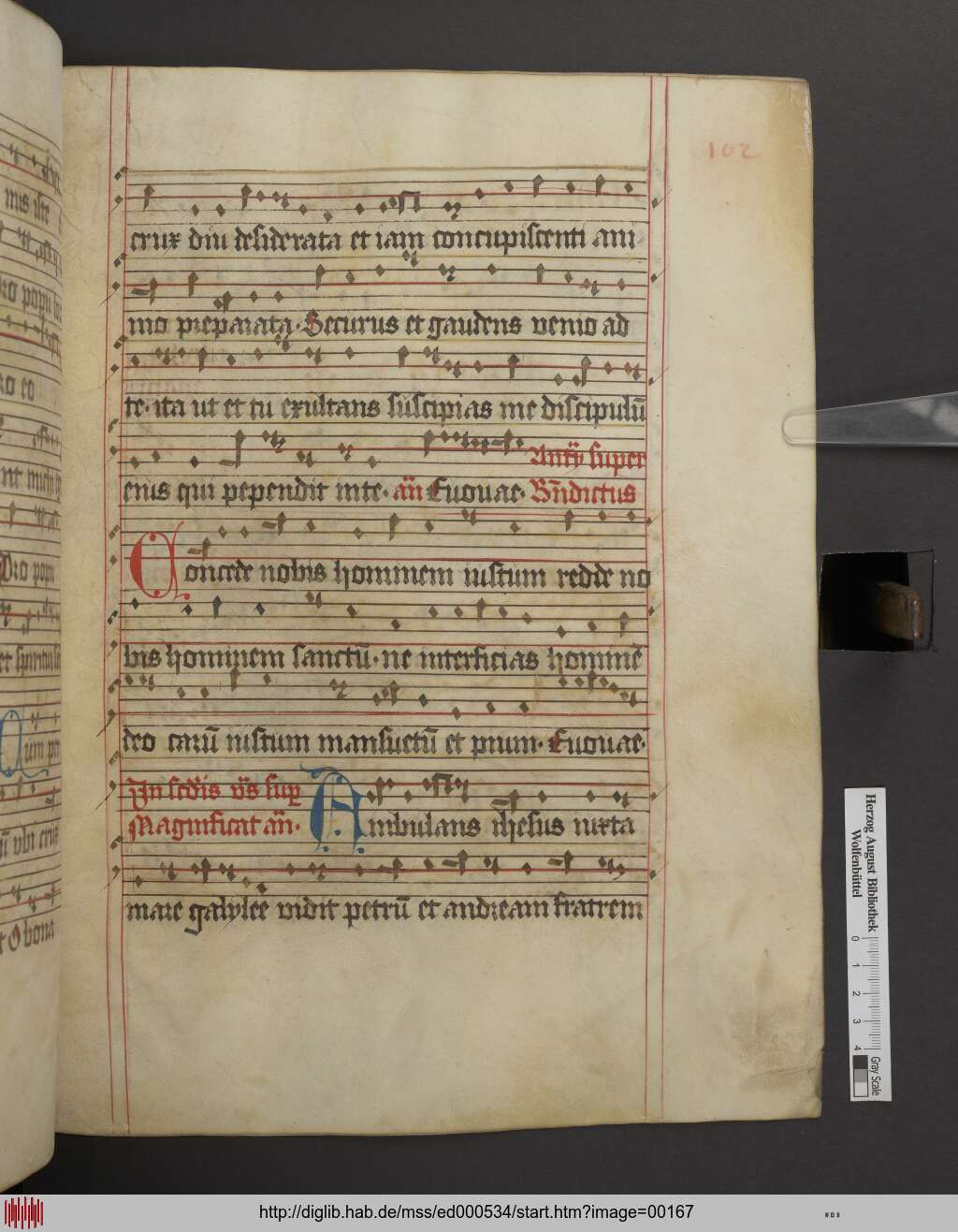 http://diglib.hab.de/mss/ed000534/00167.jpg