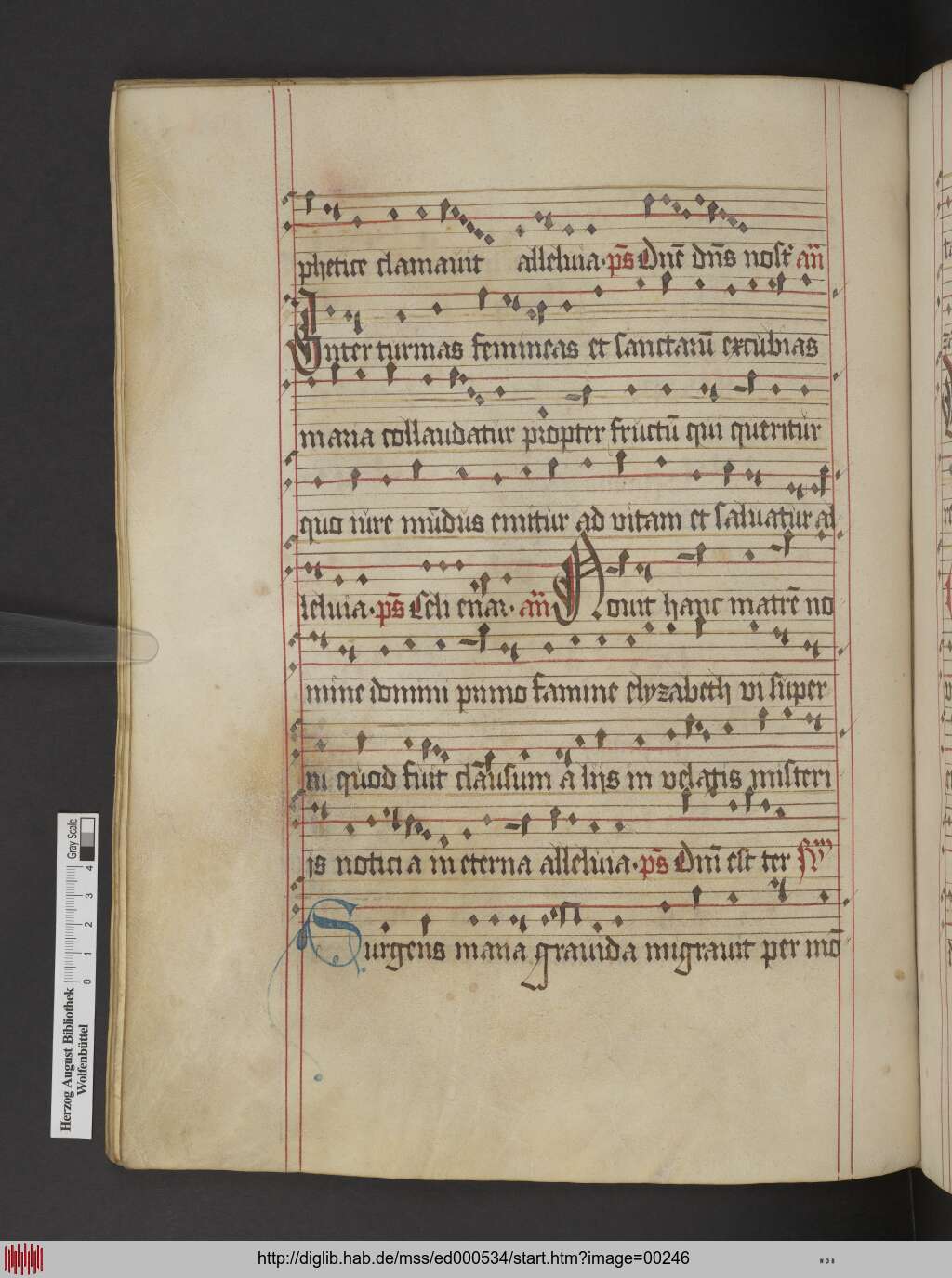 http://diglib.hab.de/mss/ed000534/00246.jpg