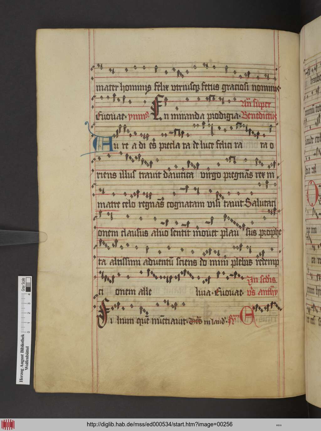 http://diglib.hab.de/mss/ed000534/00256.jpg