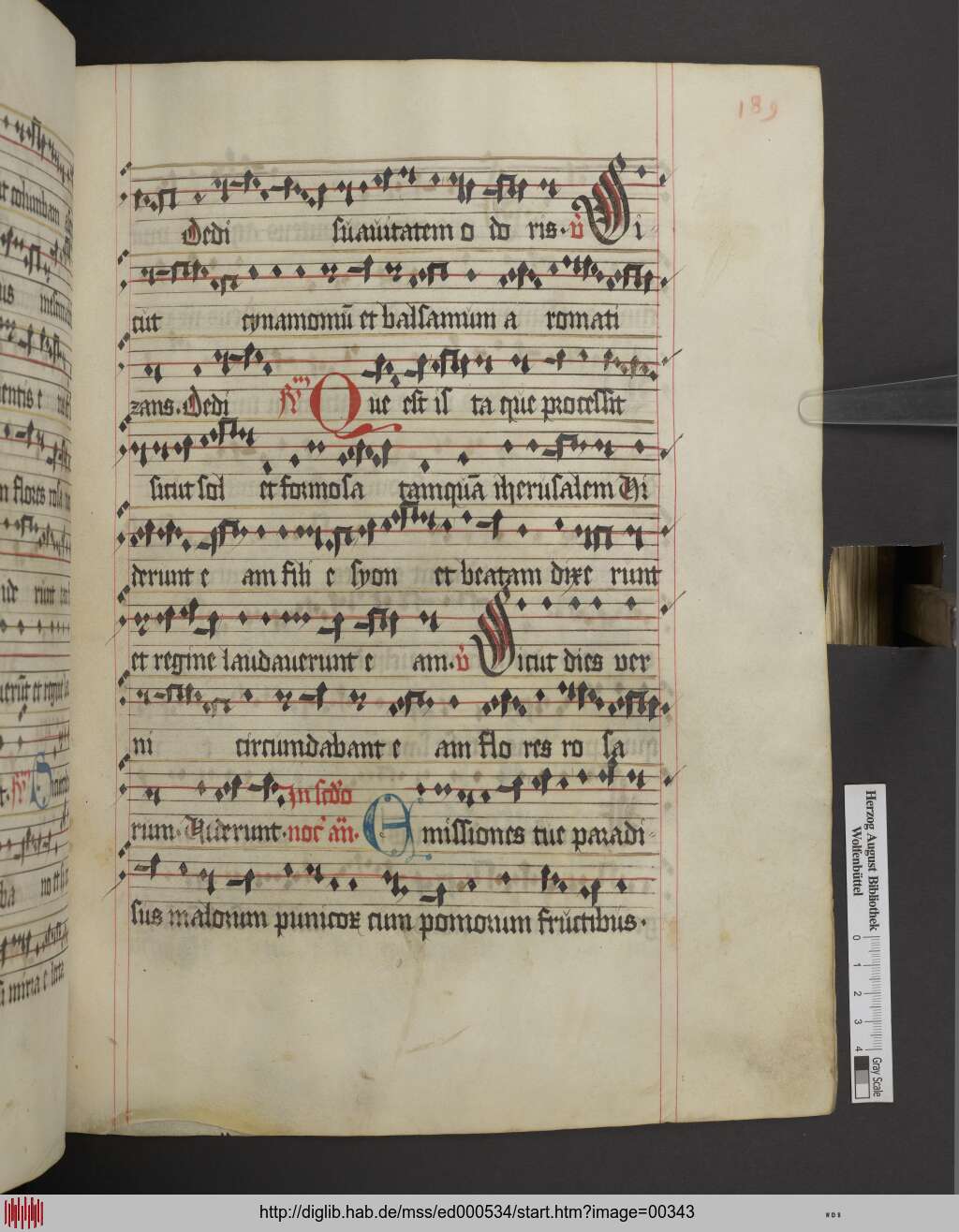 http://diglib.hab.de/mss/ed000534/00343.jpg