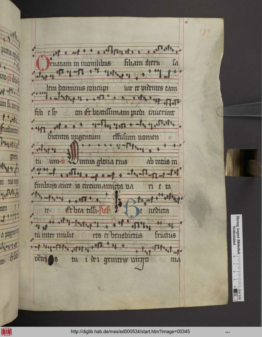 http://diglib.hab.de/mss/ed000534/00345.jpg