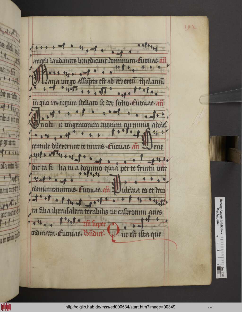 http://diglib.hab.de/mss/ed000534/00349.jpg